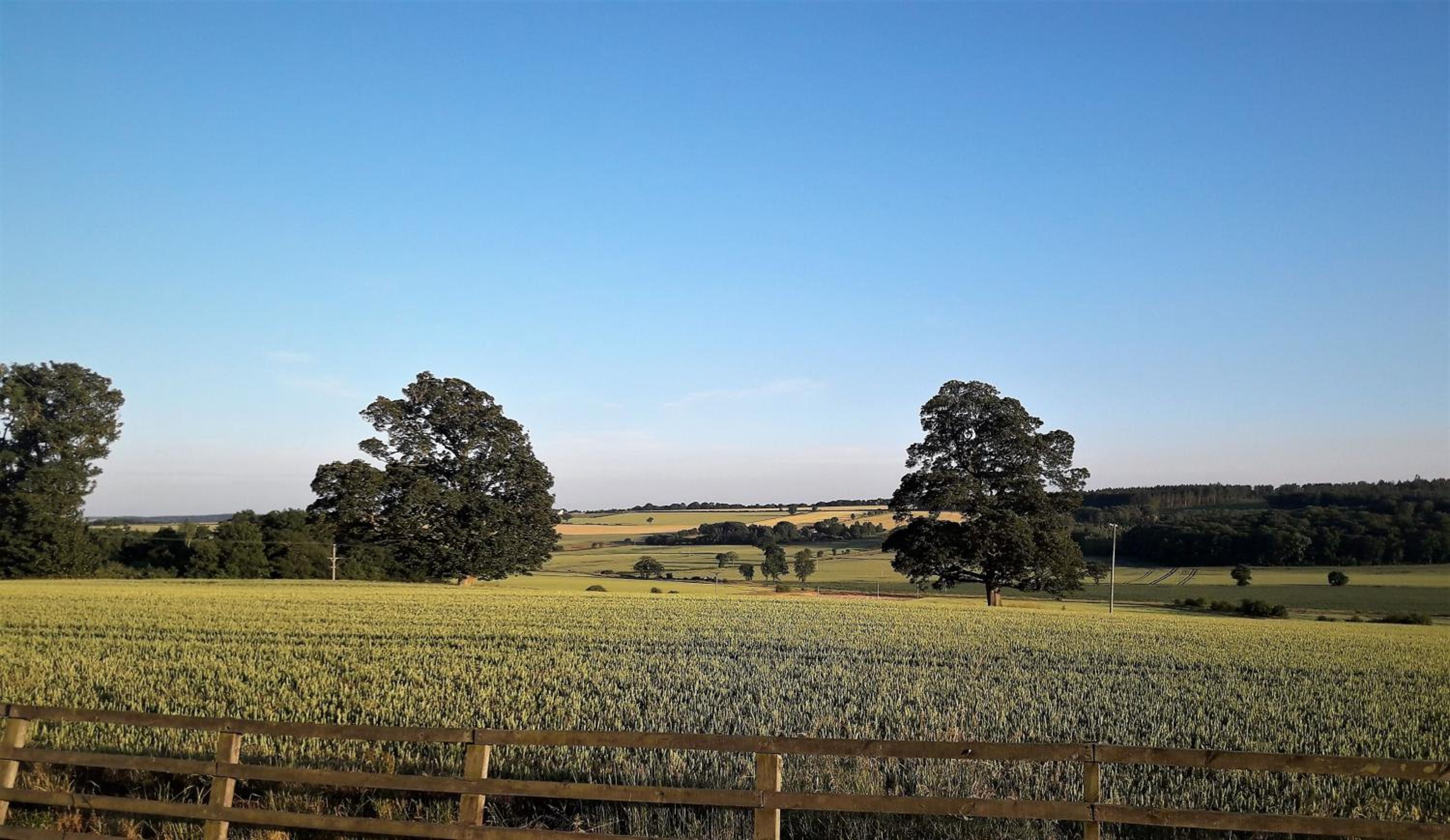 Ryedale Cottage