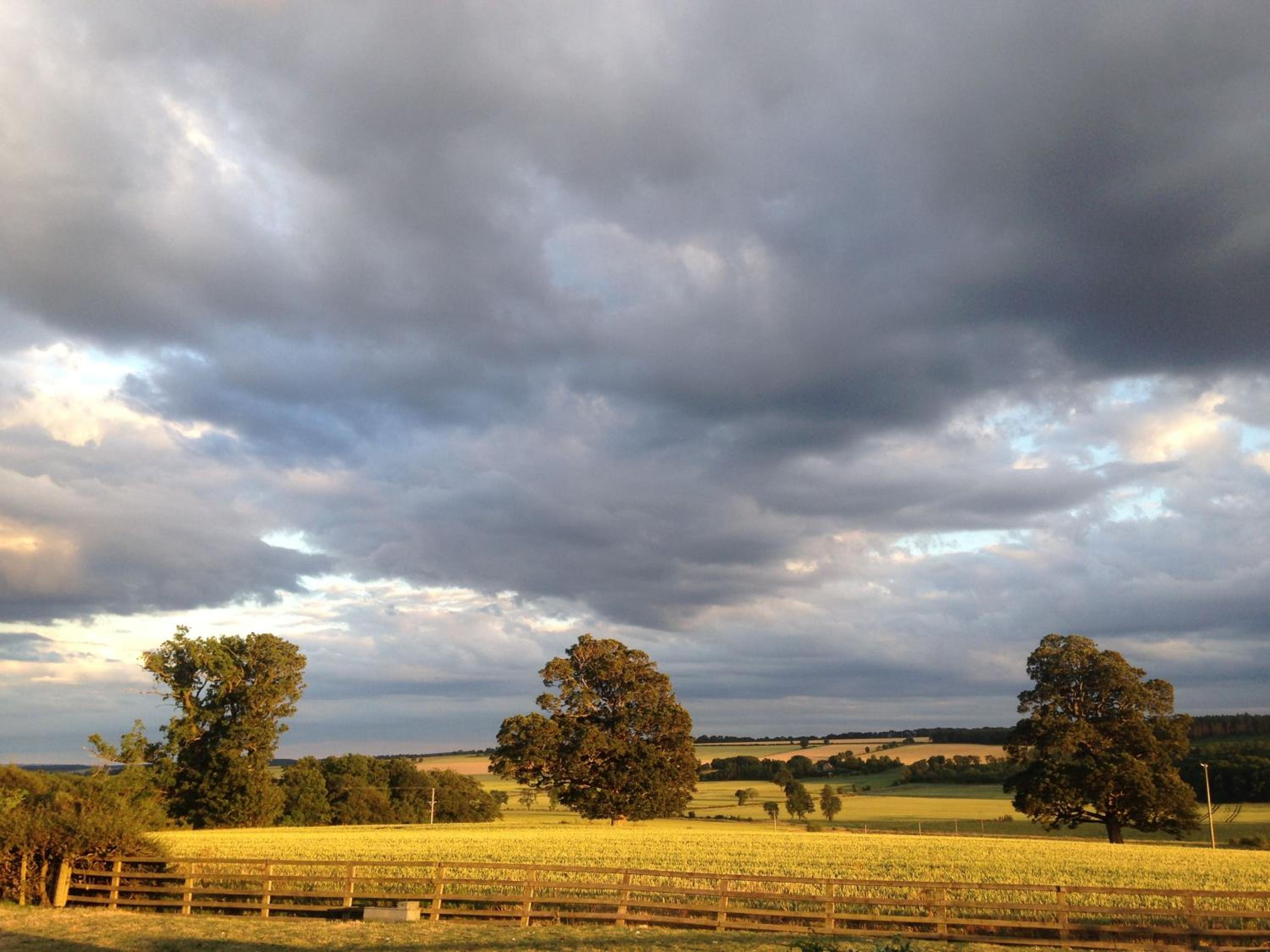 Photo 45