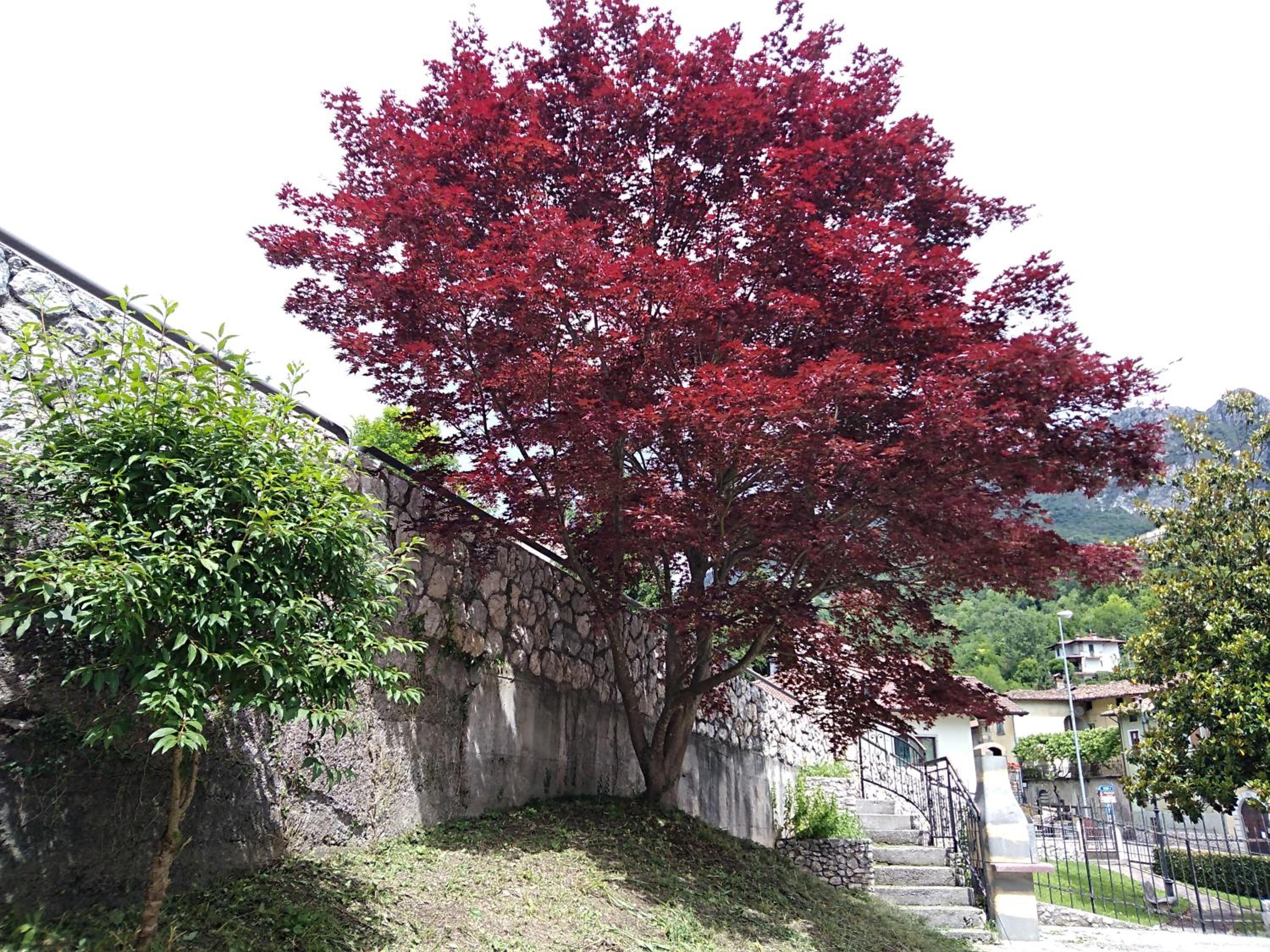 B&B L'Acero view 2