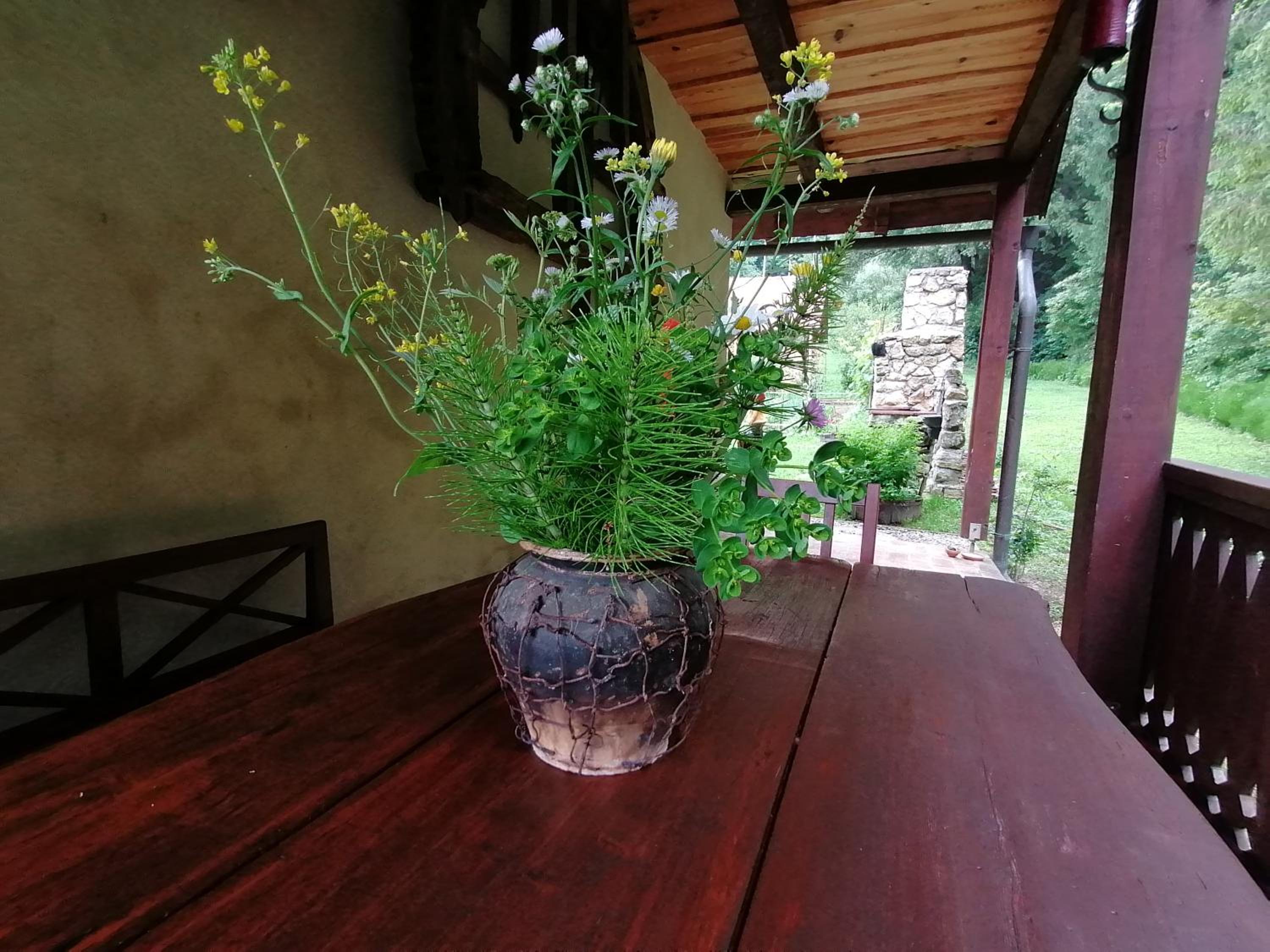 Photo 23