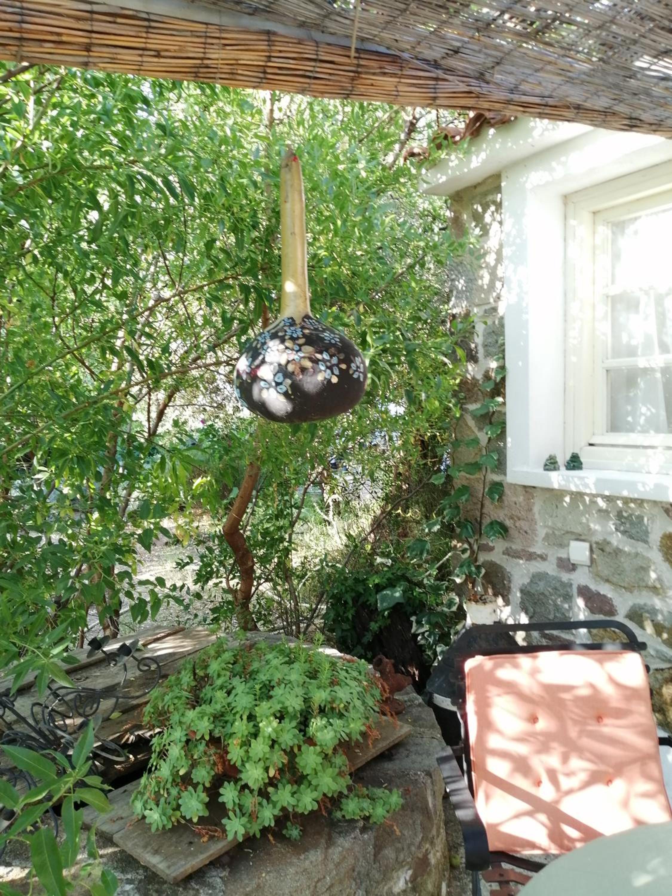 Photo 48