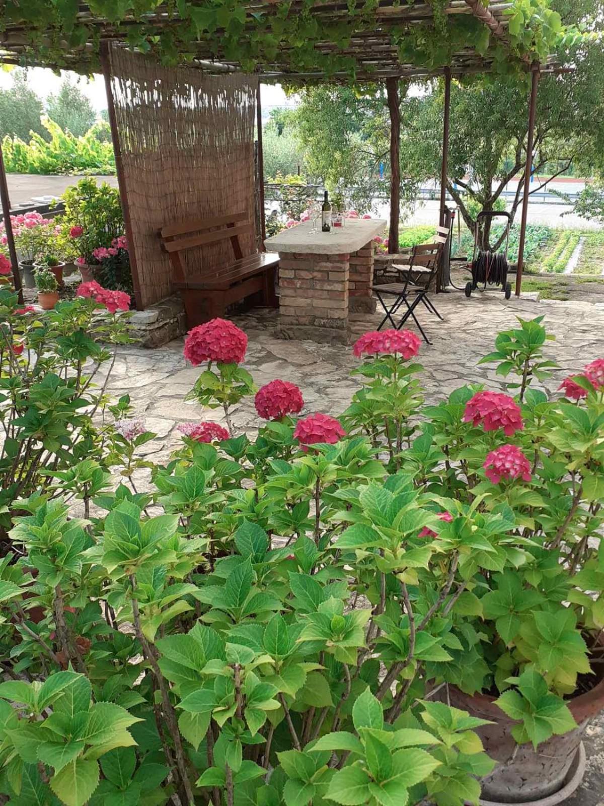 Apartma Fiorina