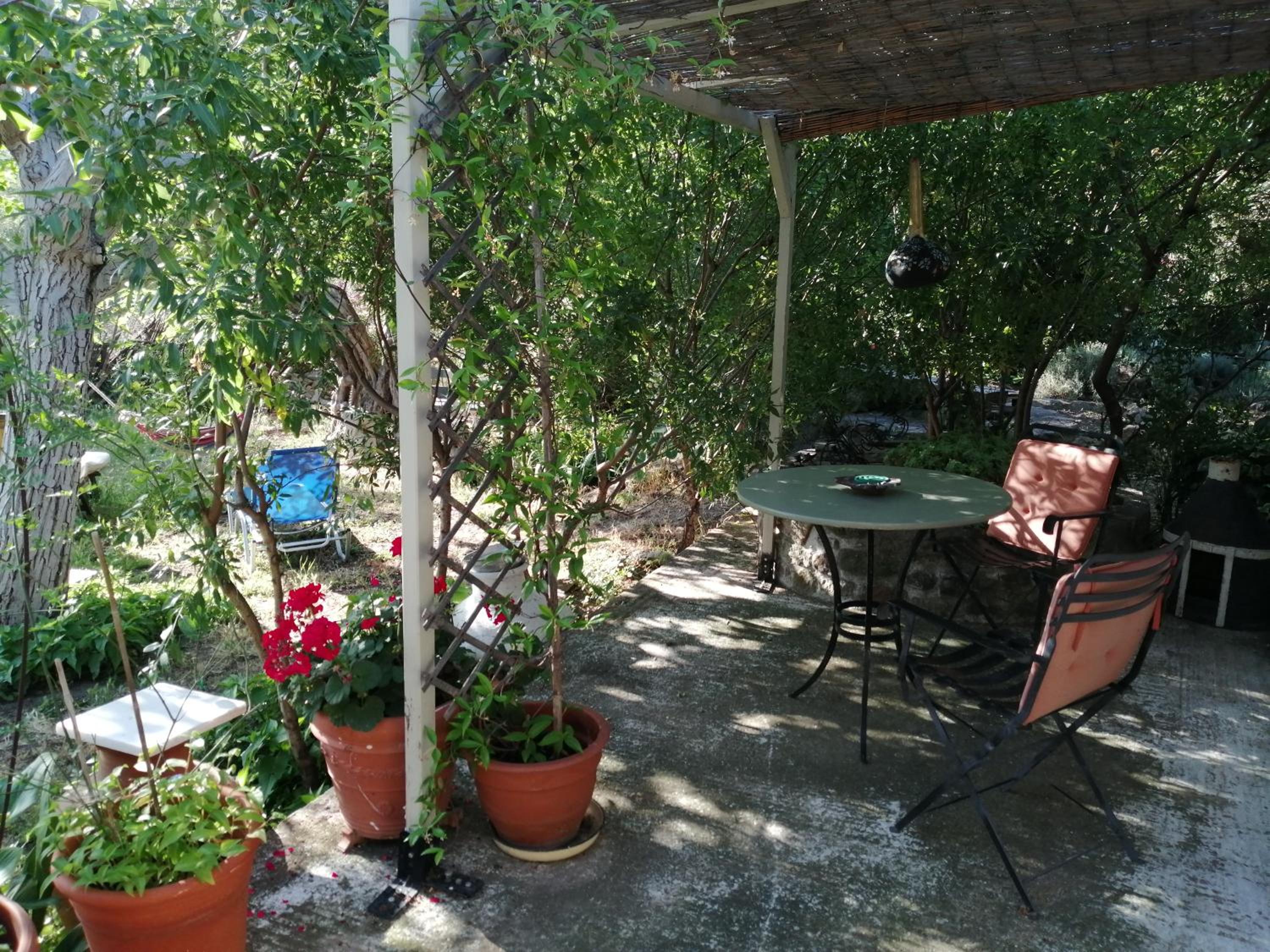 Photo 17