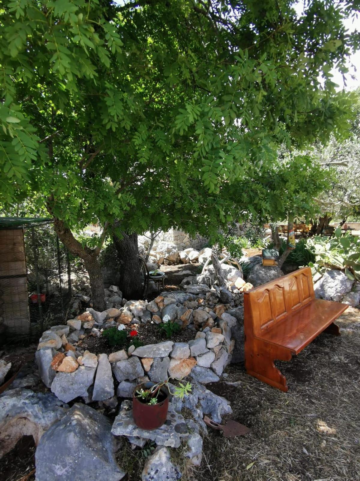 Photo 29