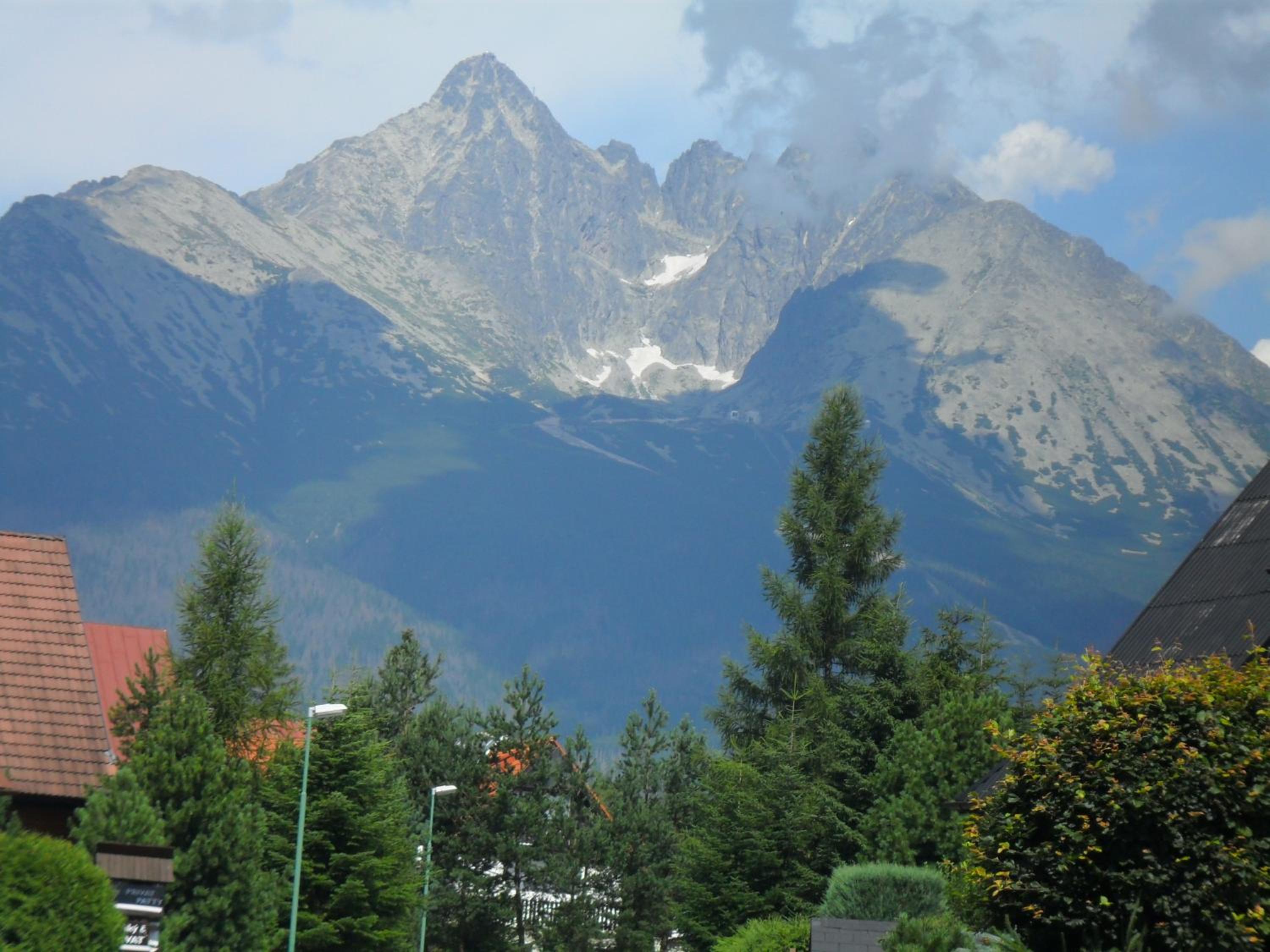 Photo 49