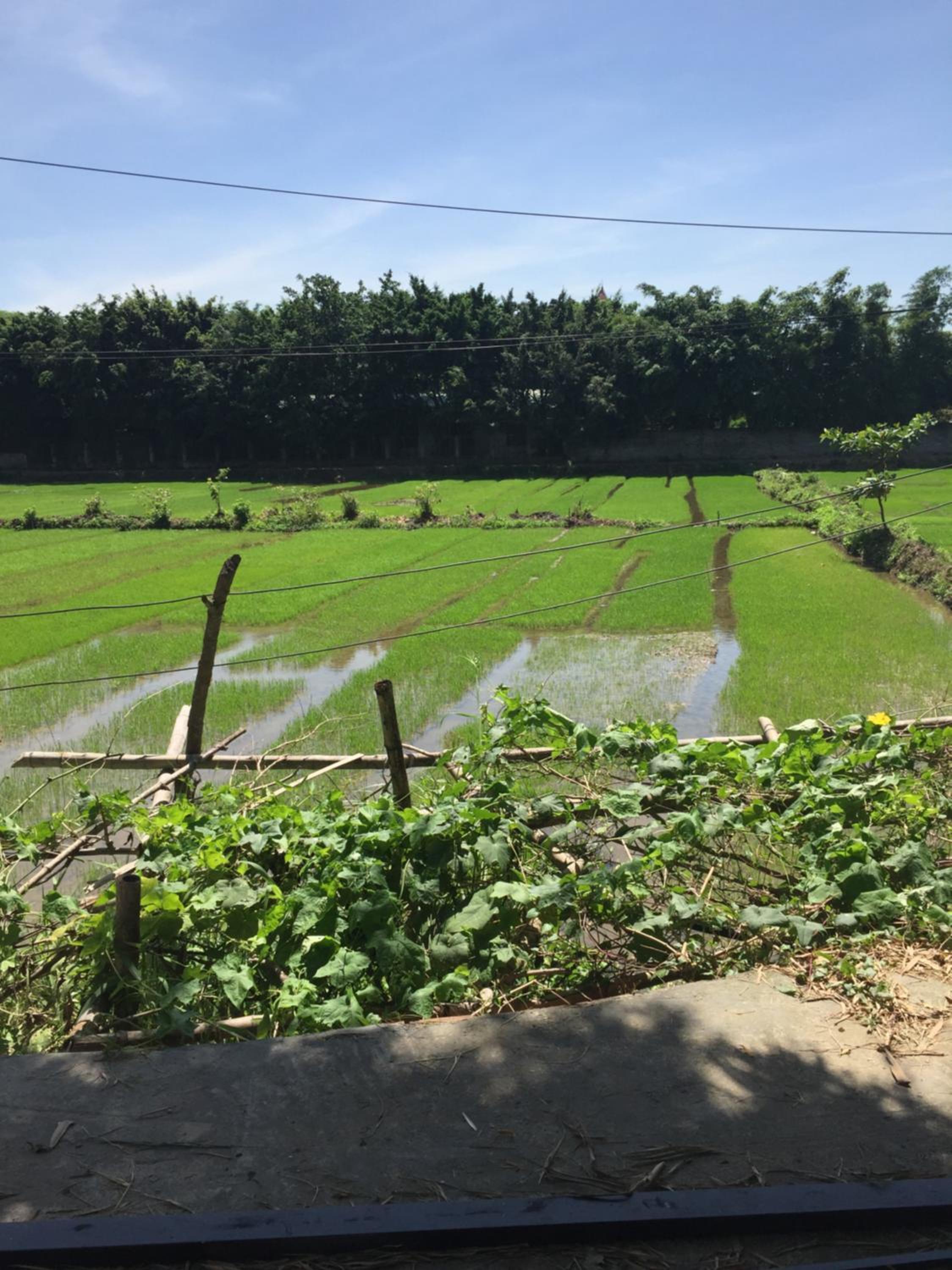 Tam Coc The Moon Lady Homestay view 2