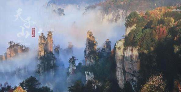 Tongfu Inn(In the National Park)