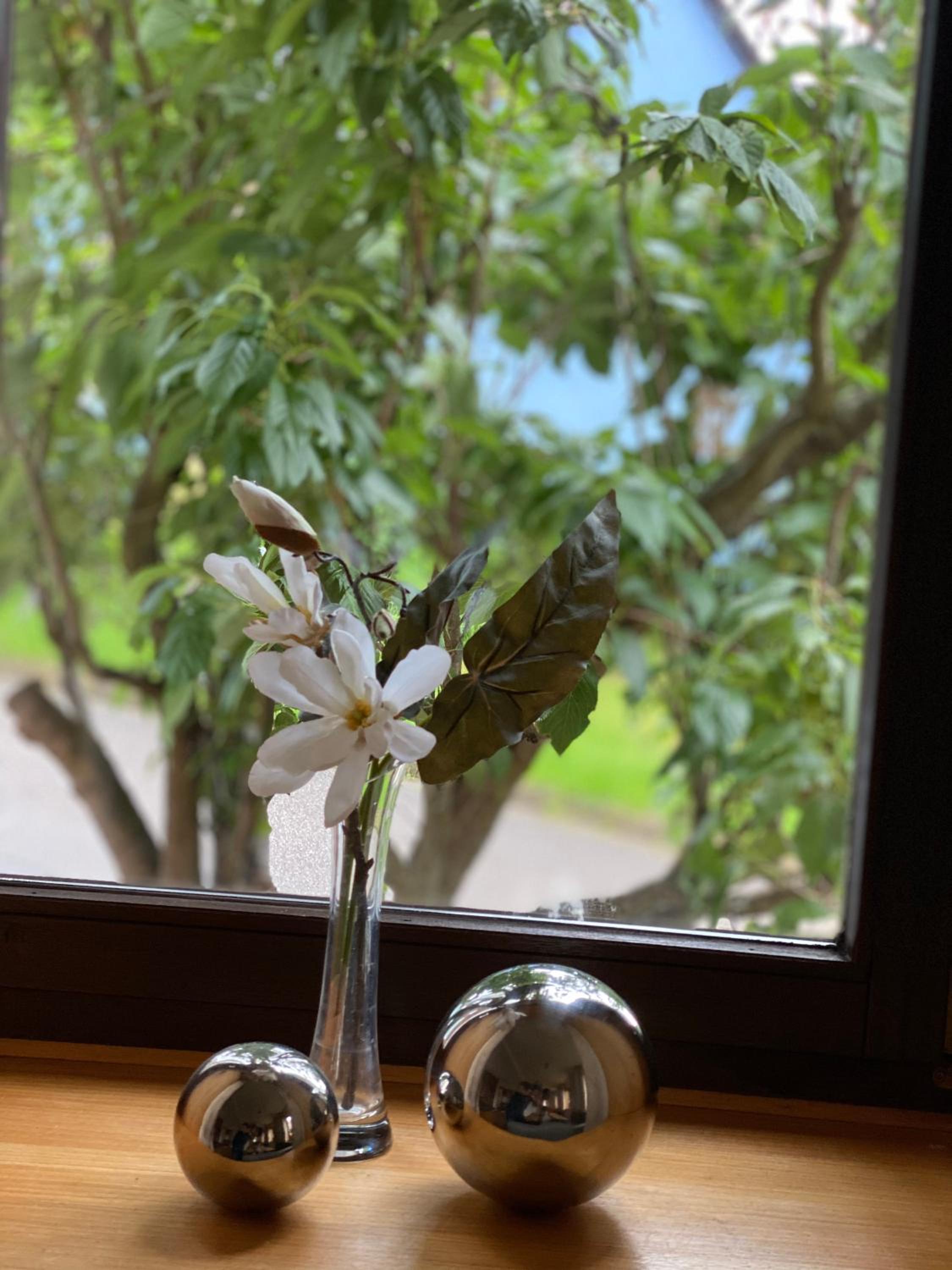 Ferienwohnung Hopfengarten view 5