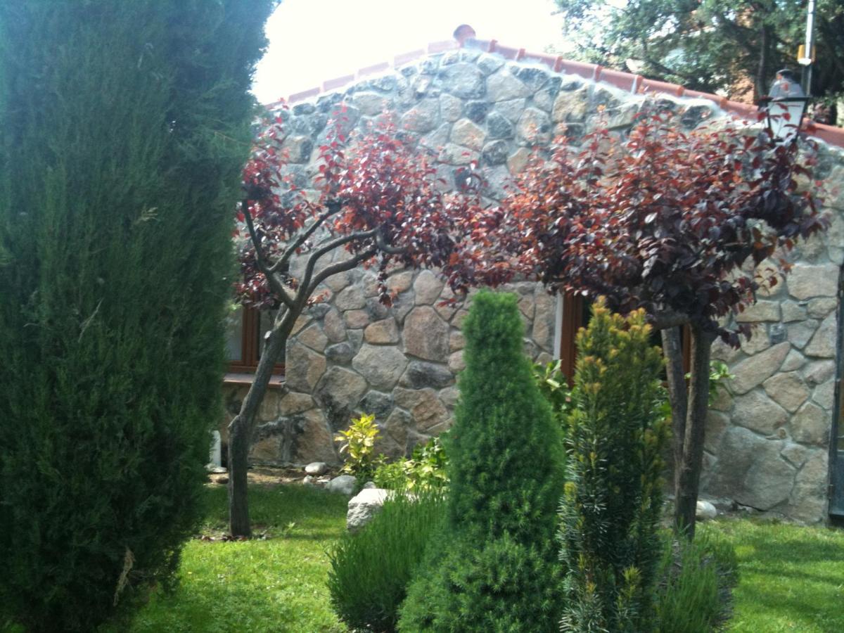 Casa Cucu photo 5