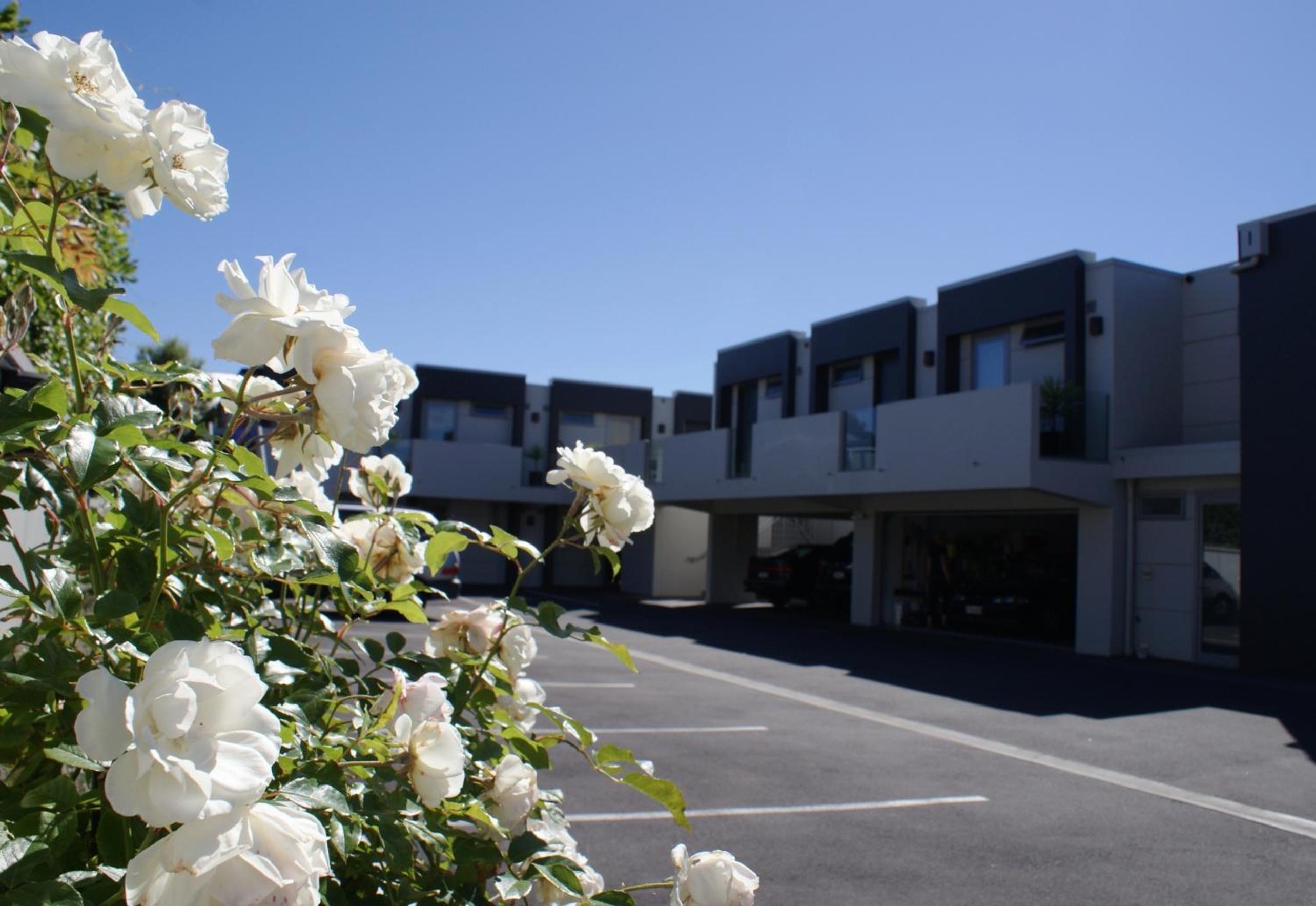 Bellano Motel Suites — photo 37