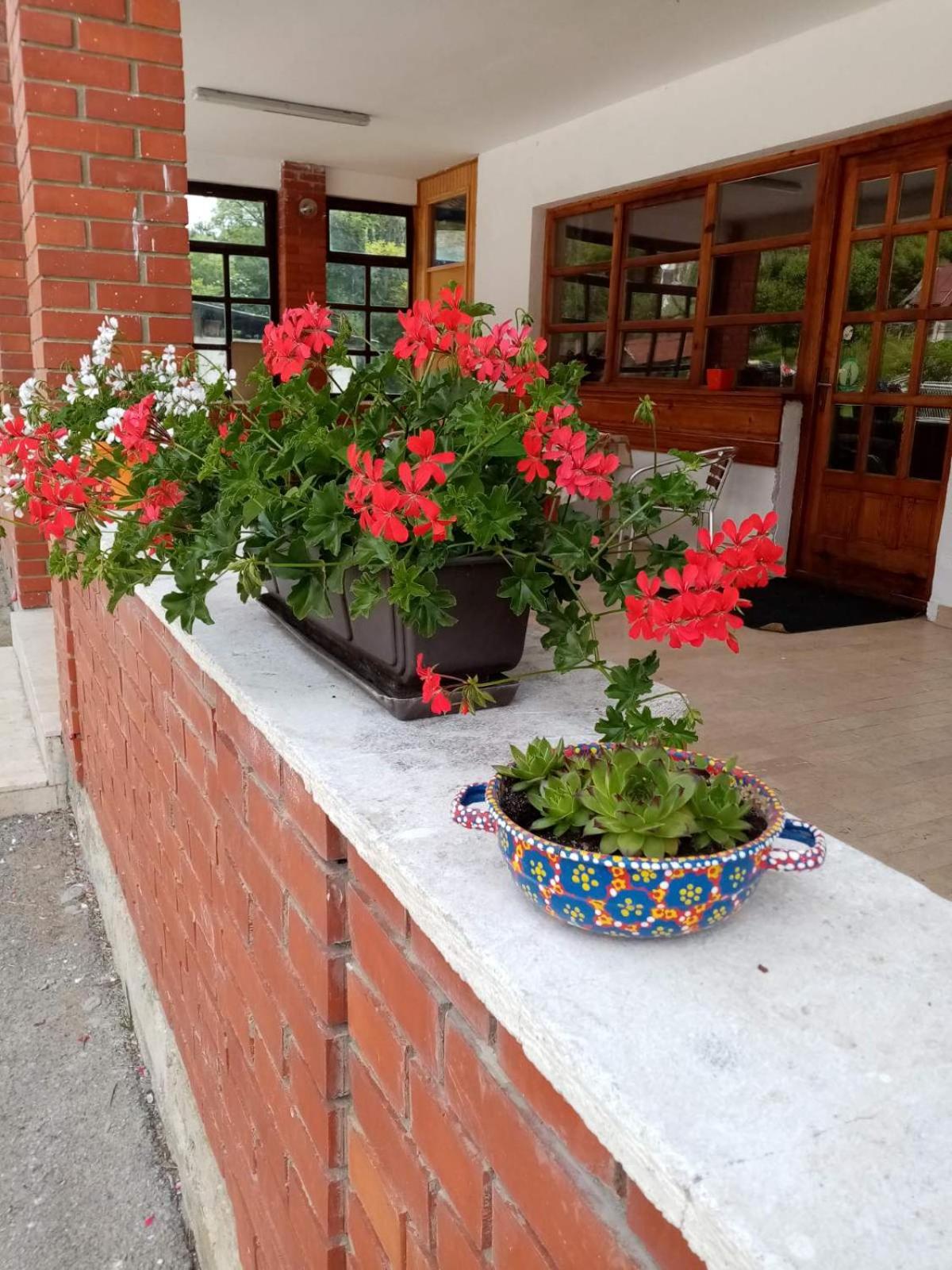 Photo 28