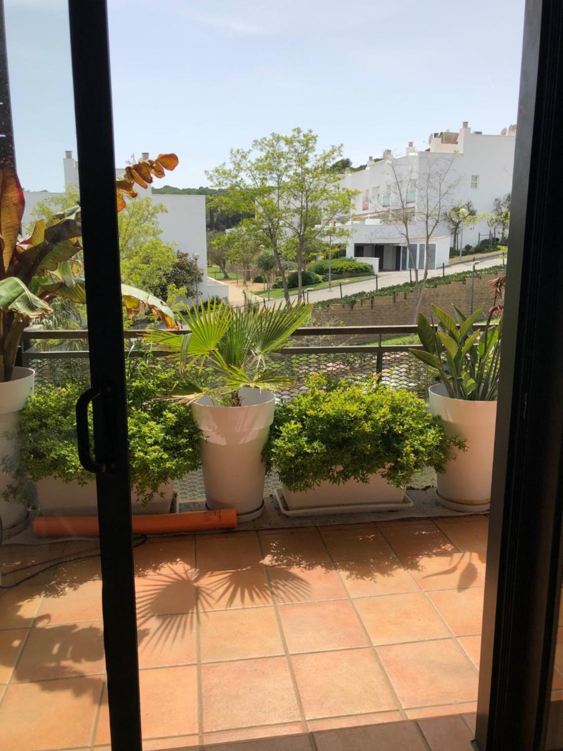 Sunny apartment Sa Boadella big solarium sea view