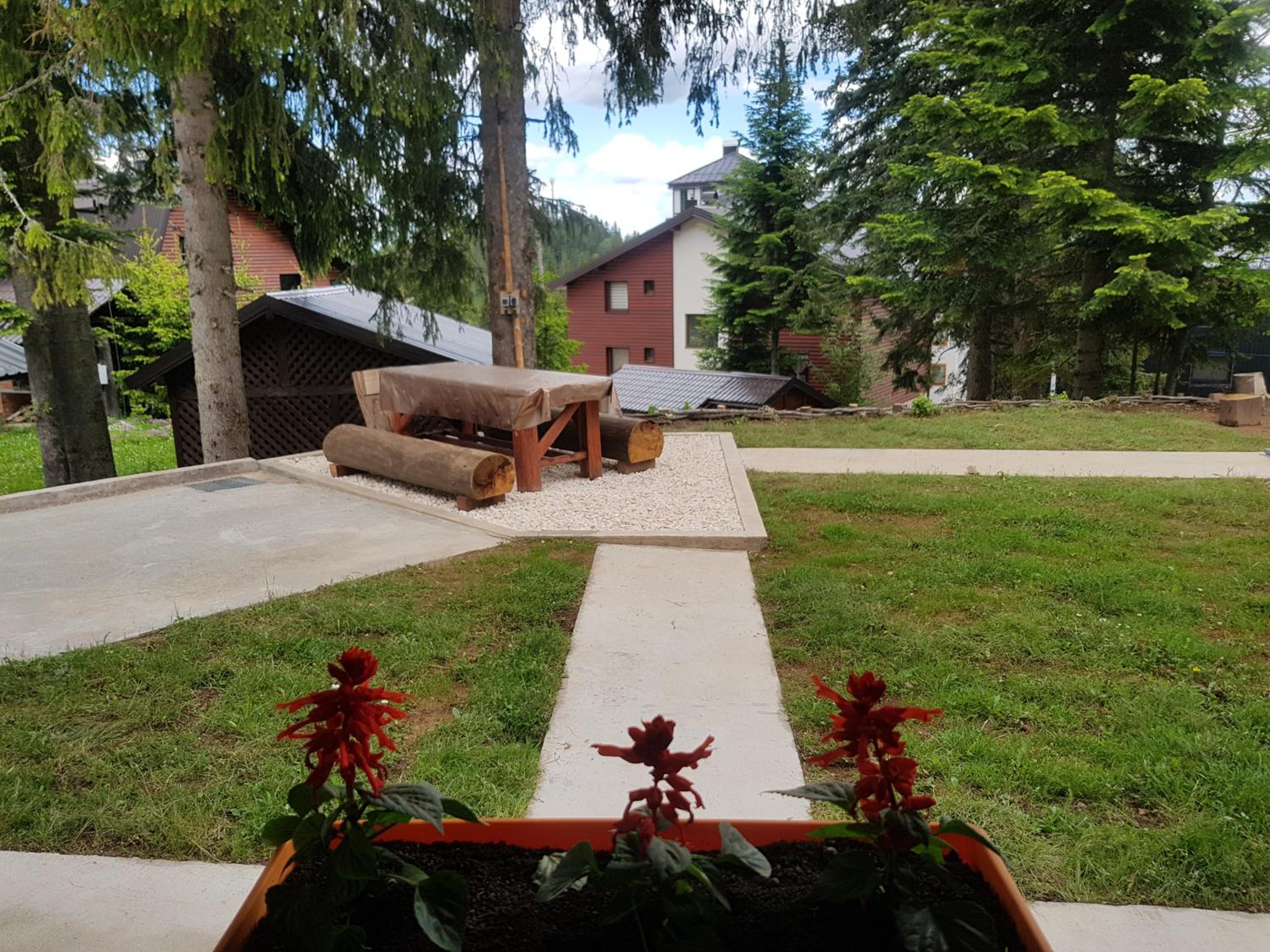 Photo 12