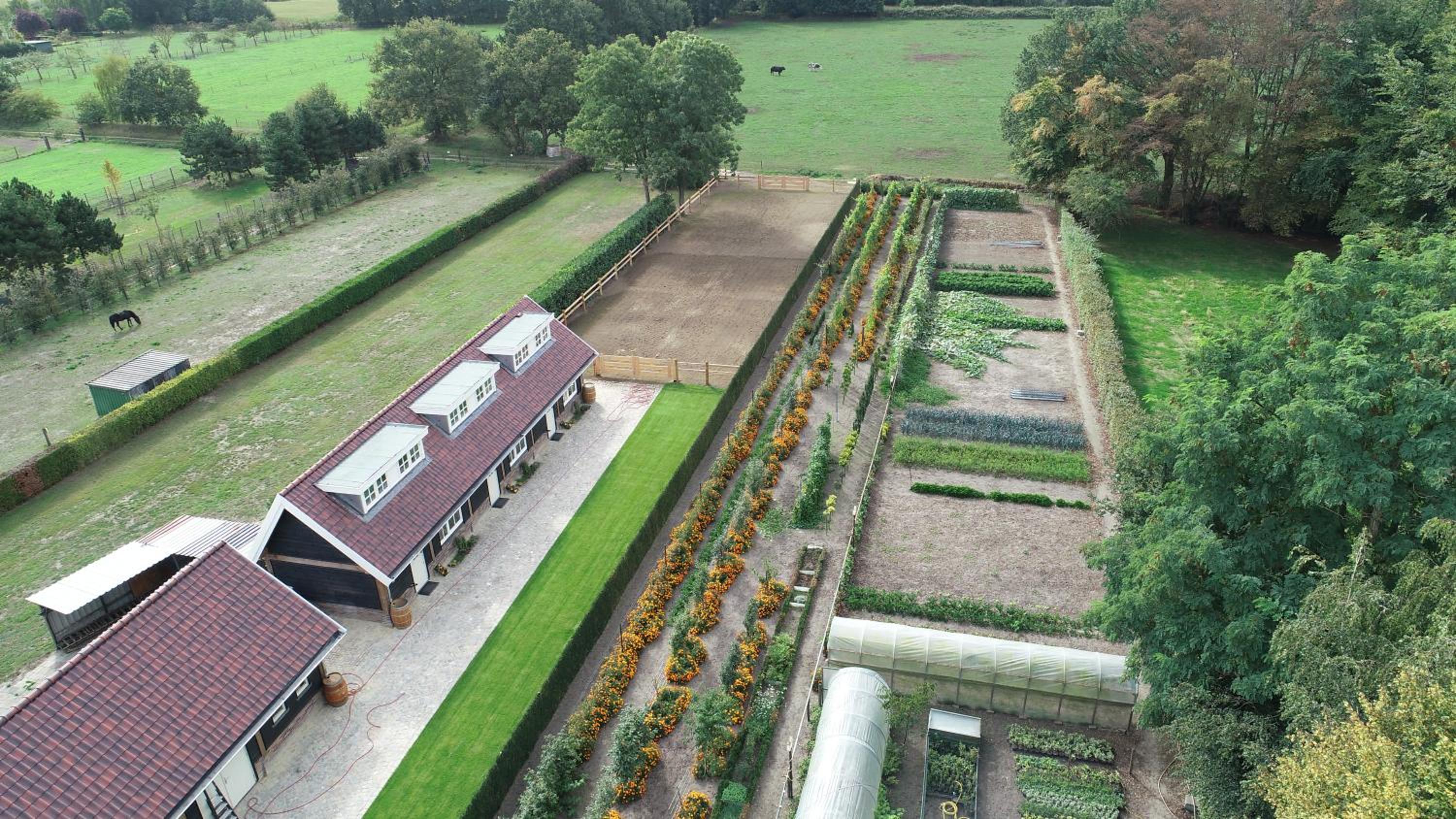 De Cromvoirtse Bed and Breakfast view 2