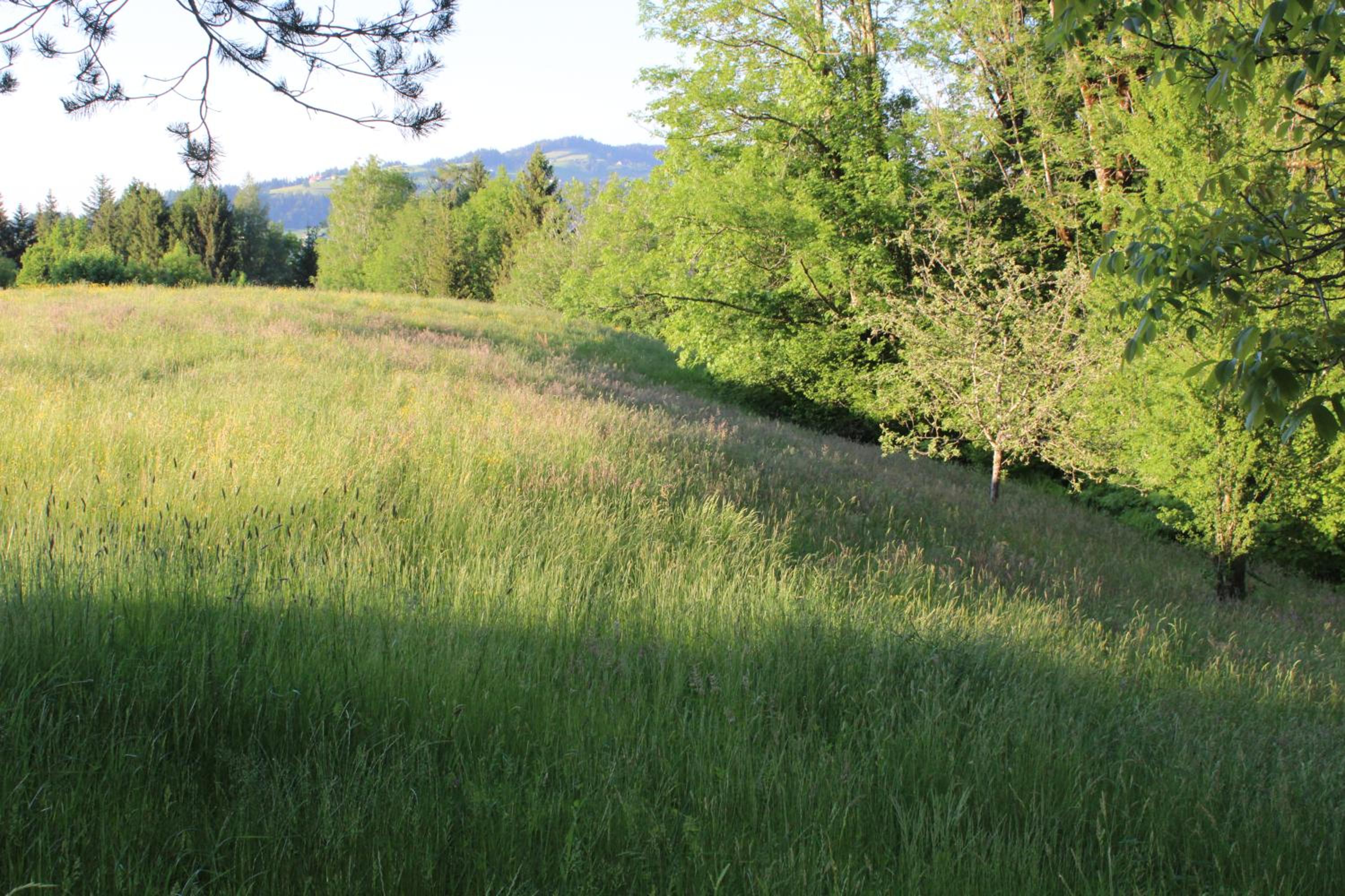 Naturparadies Silvia