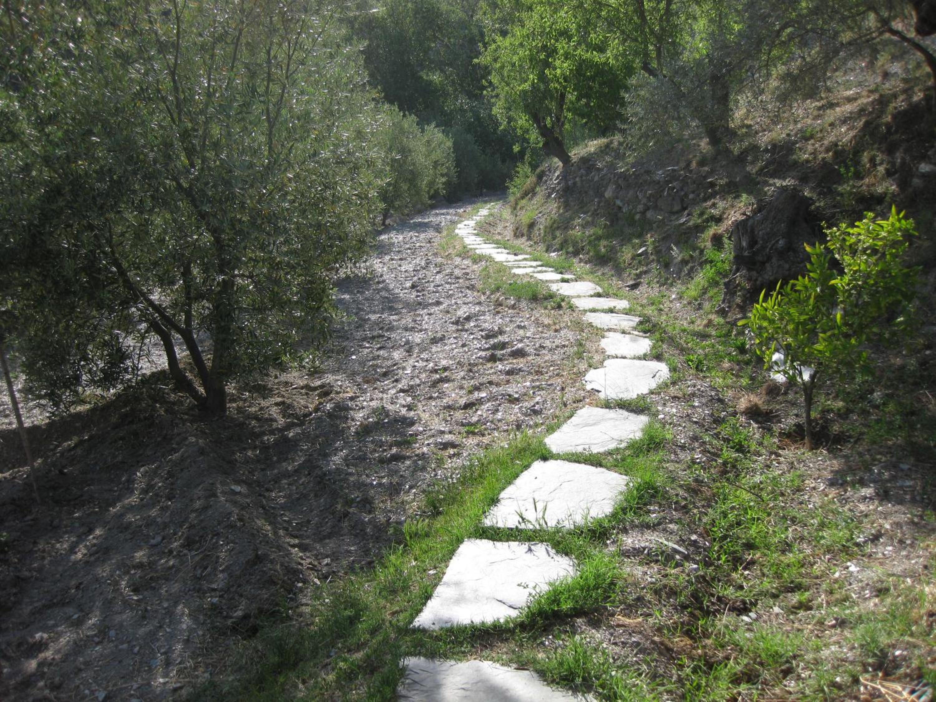 Photo 32