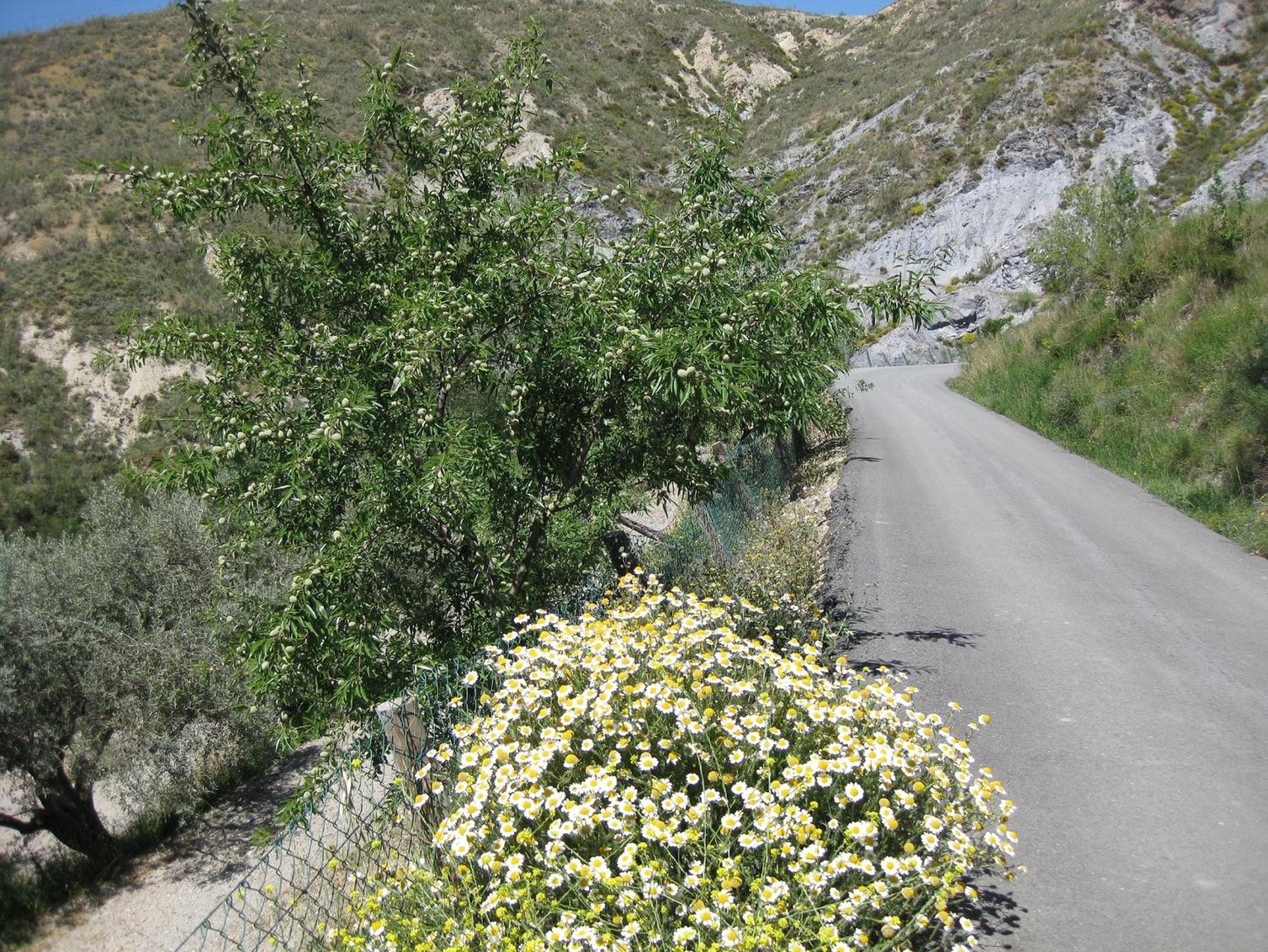 Photo 43