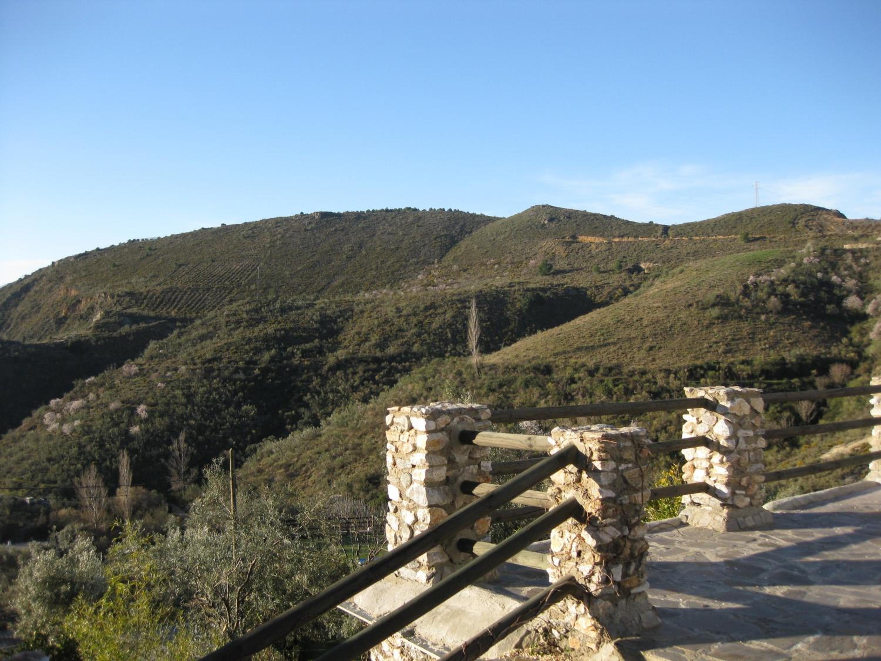 Photo 28