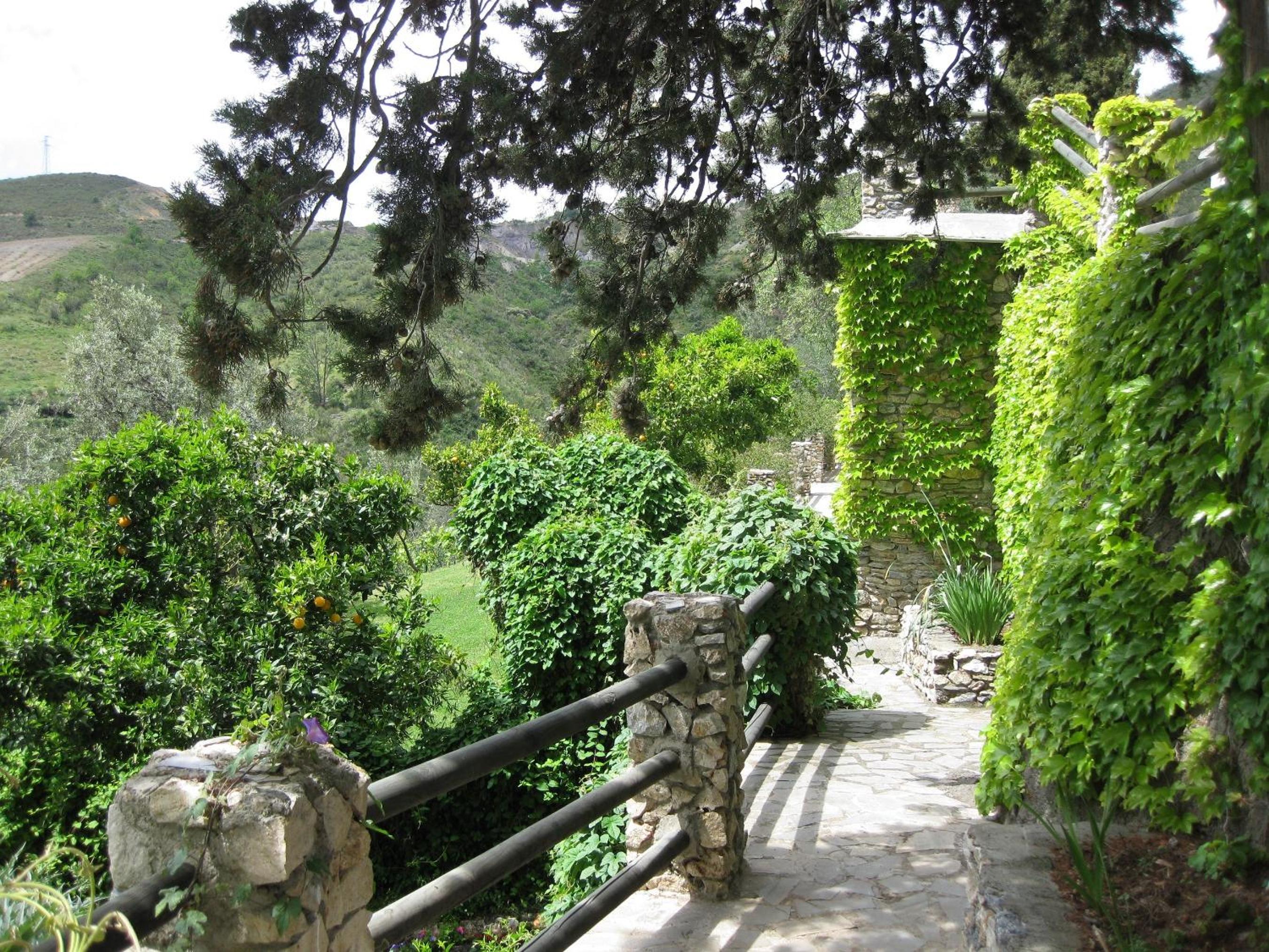 Photo 27