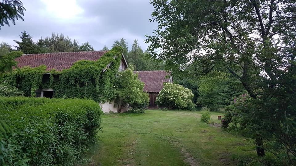 Dom na Warmii -Siedlisko Mozaika view 4