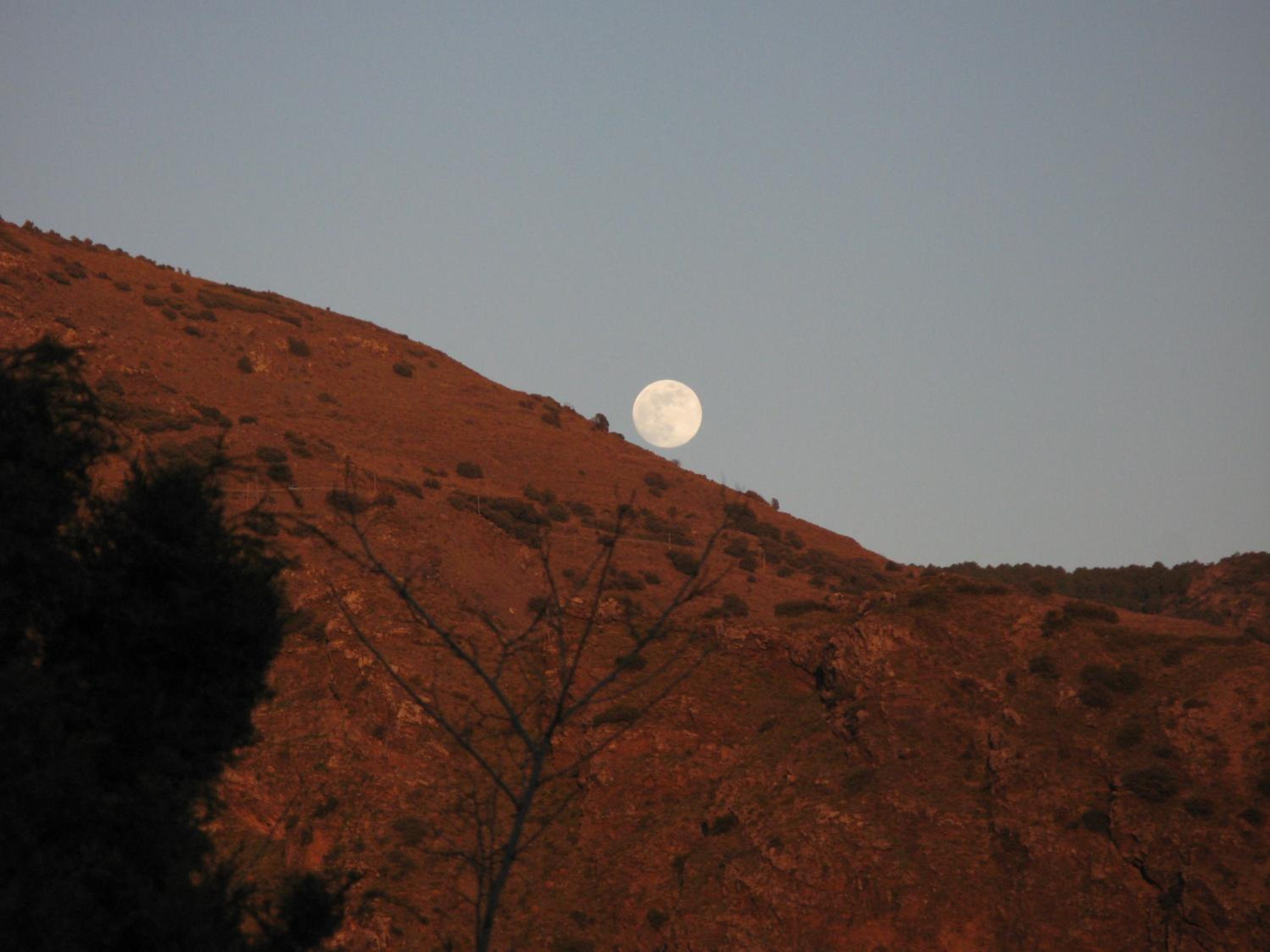 Photo 40