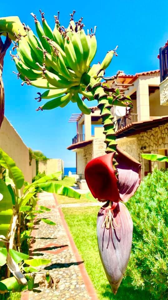 Villa Fourka on the beach view 2