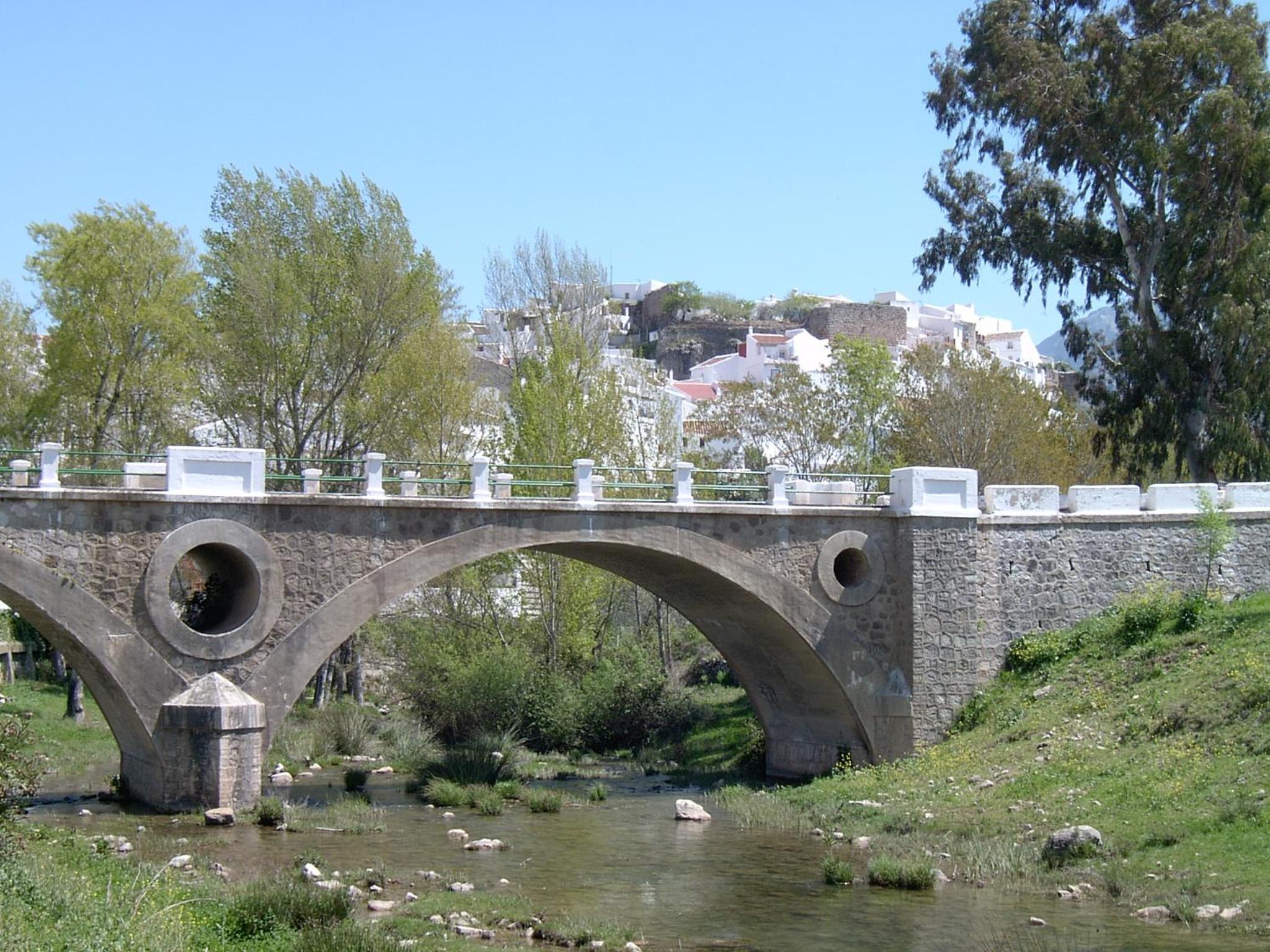 Photo 47