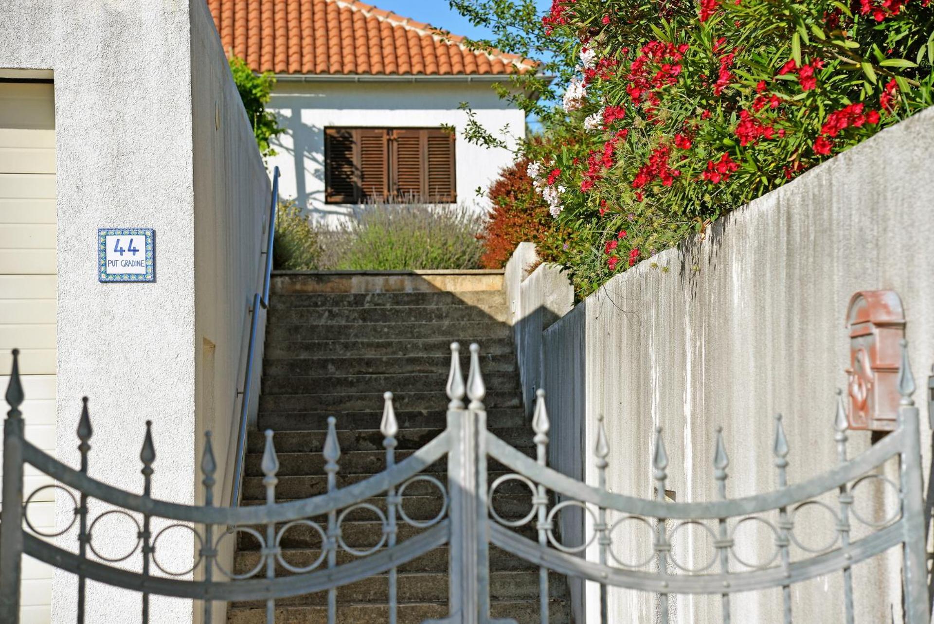 HOUSE IVY view 2