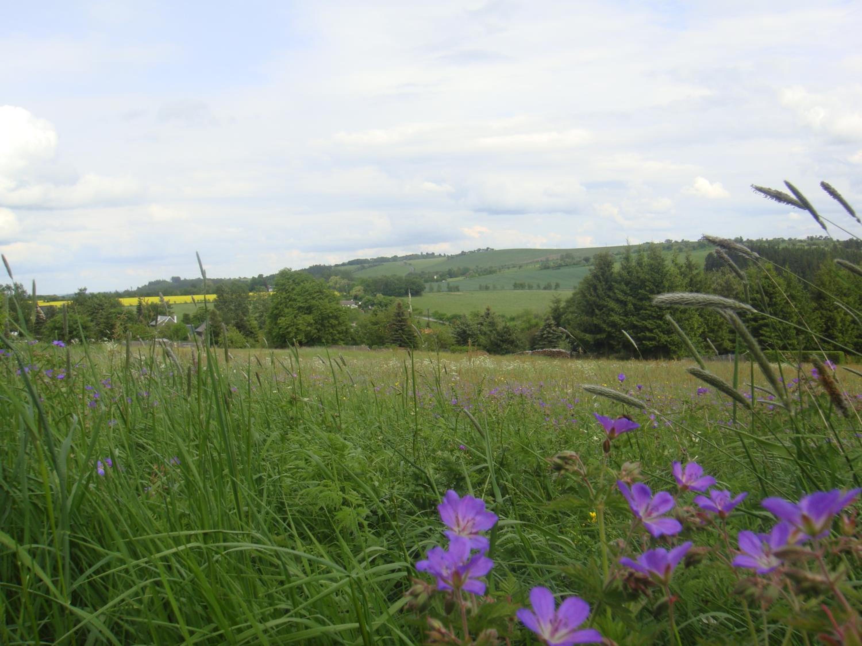 Landgasthof Kemter