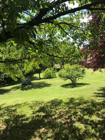 Appartamento i Tulusan a due passi dalle Langhe view 4
