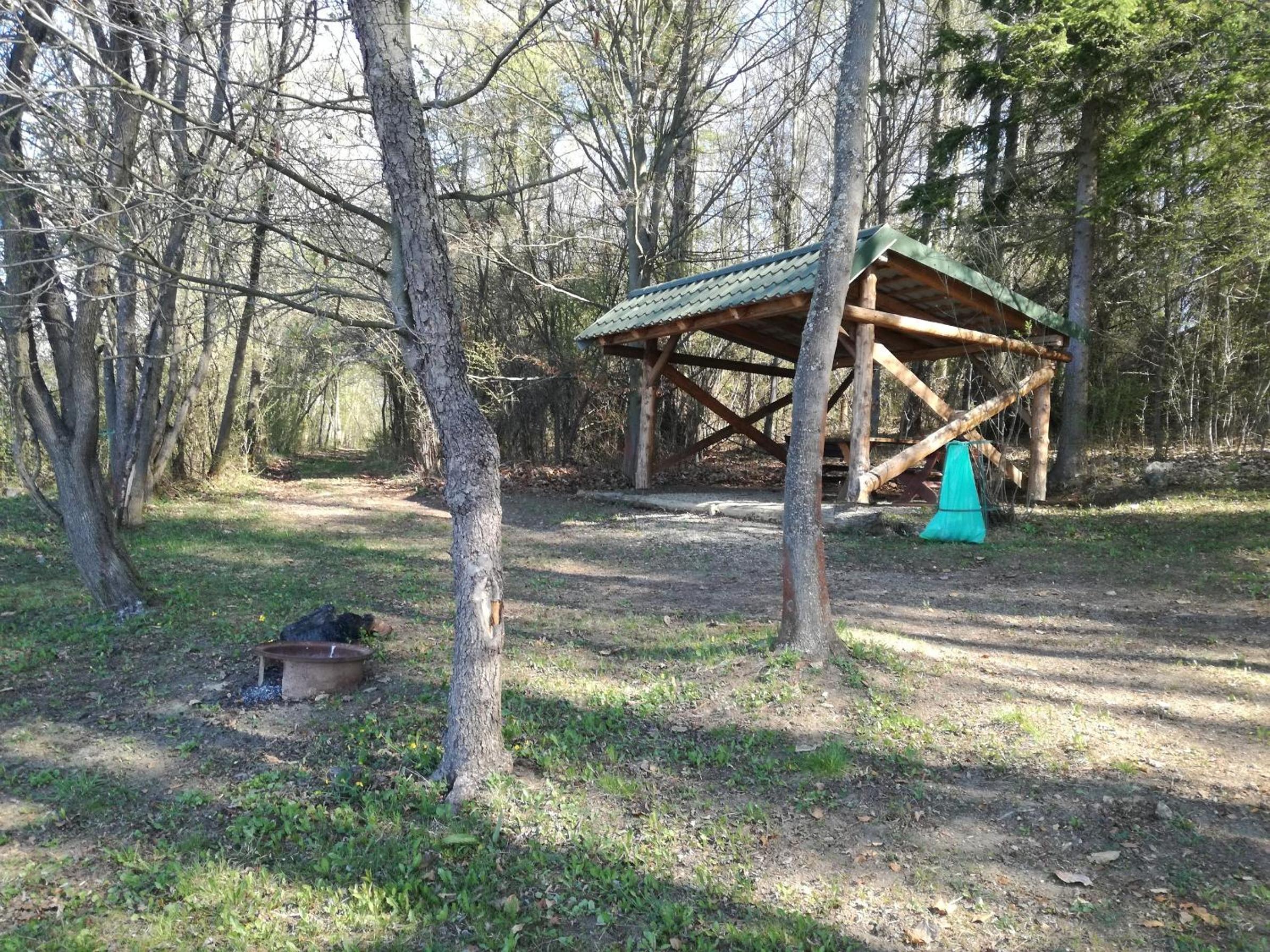 Photo 15