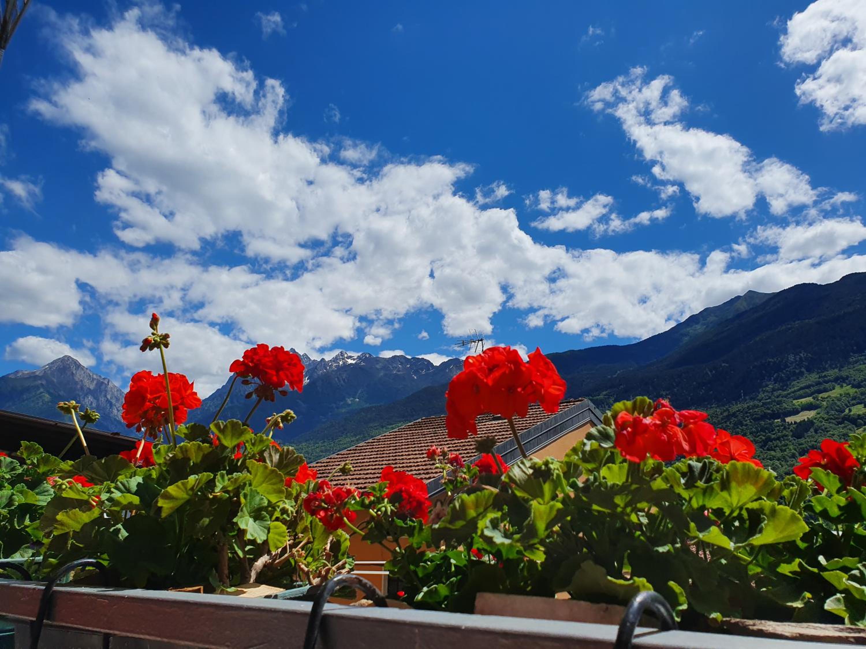 B&B Il Pettirosso photo 2