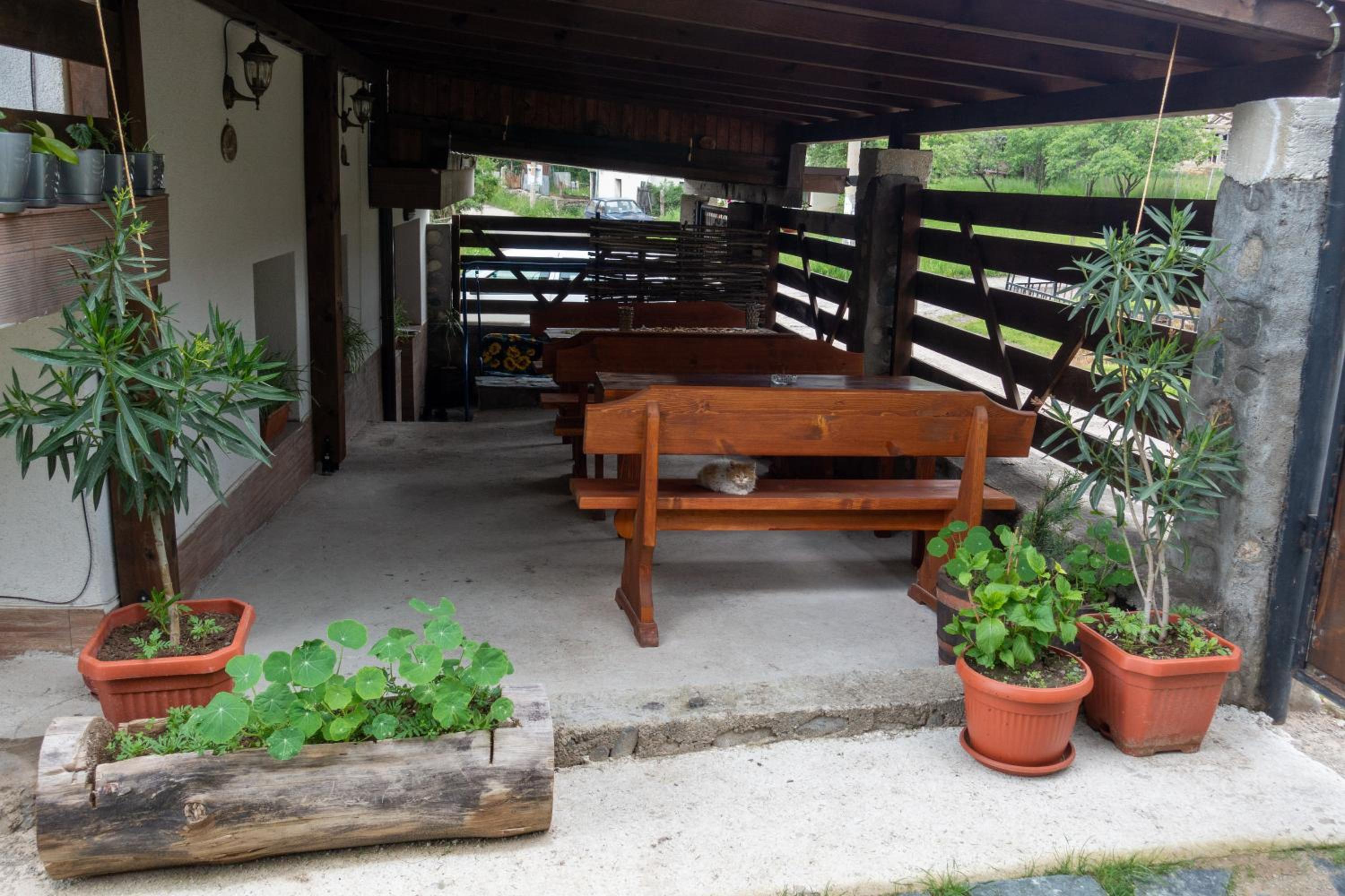 Guest House Markovi