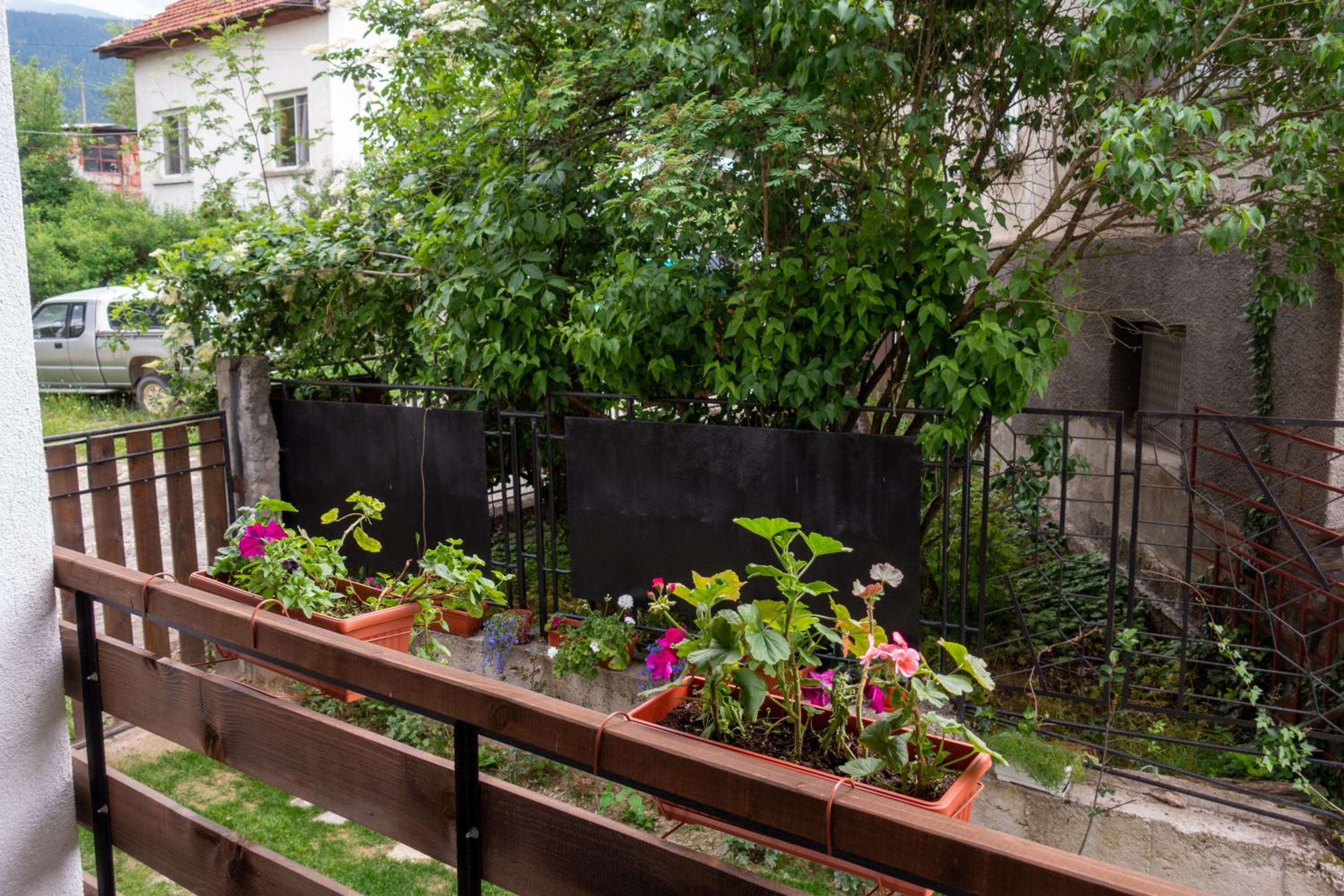Guest House Markovi