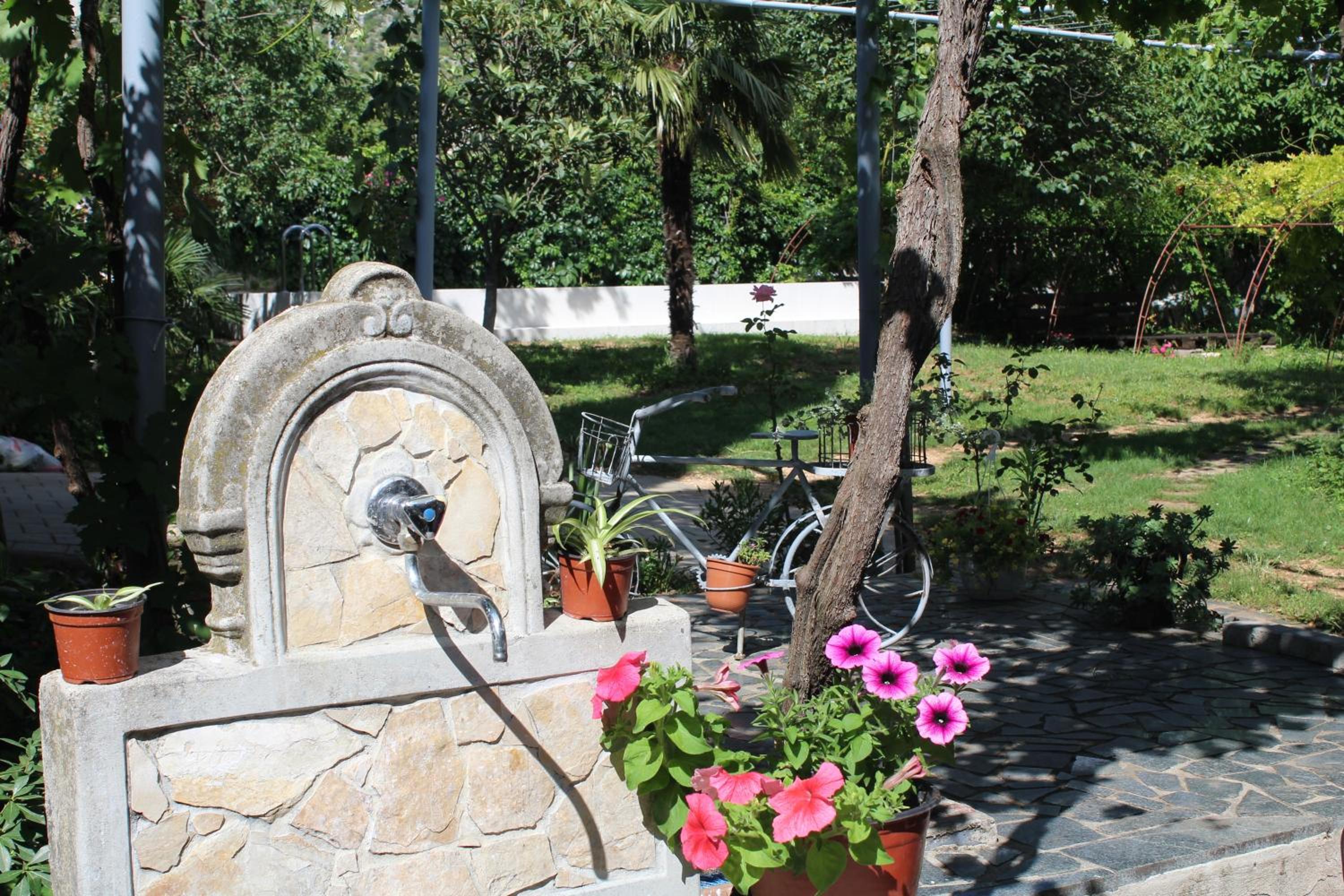 Casa Botanica