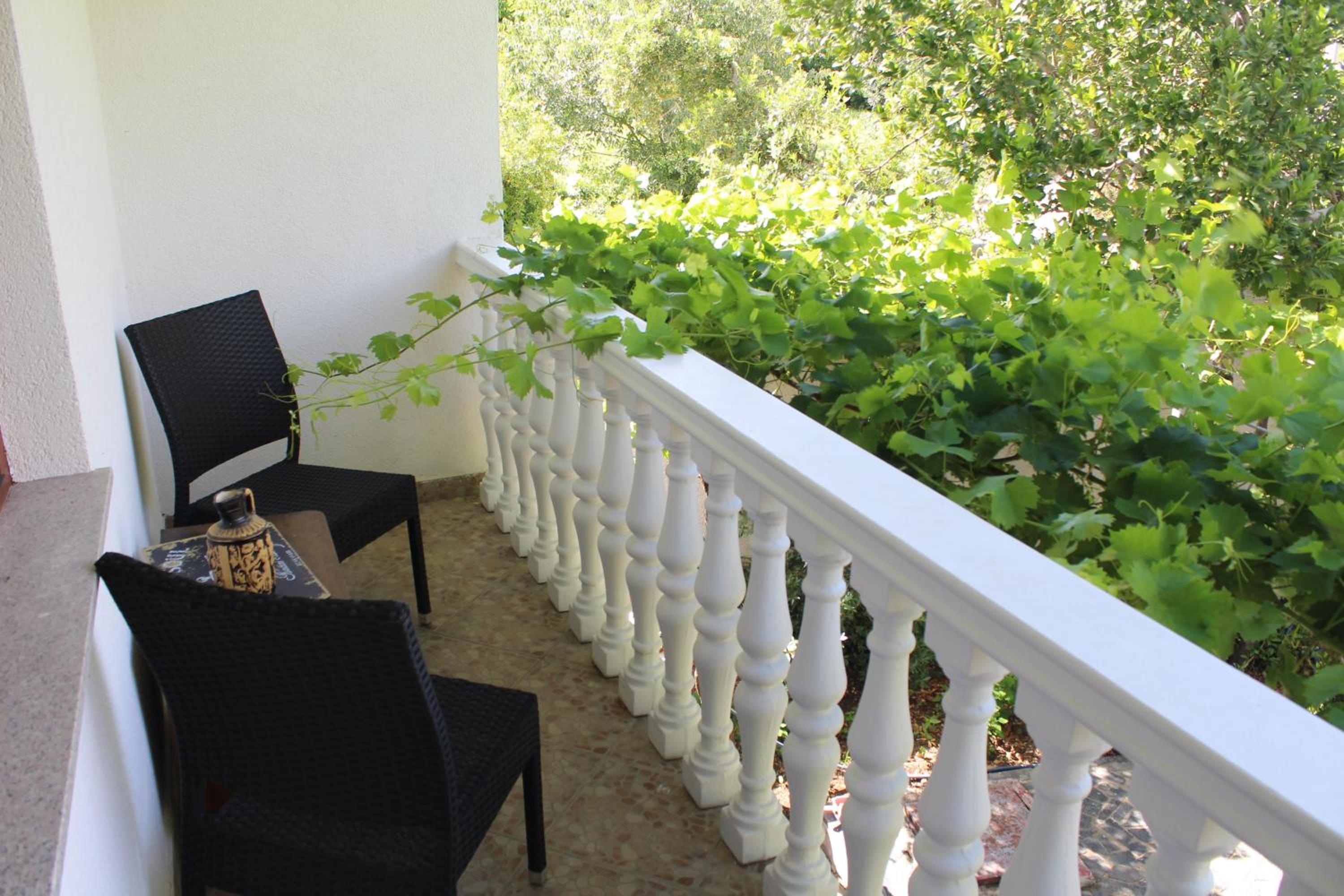 Casa Botanica