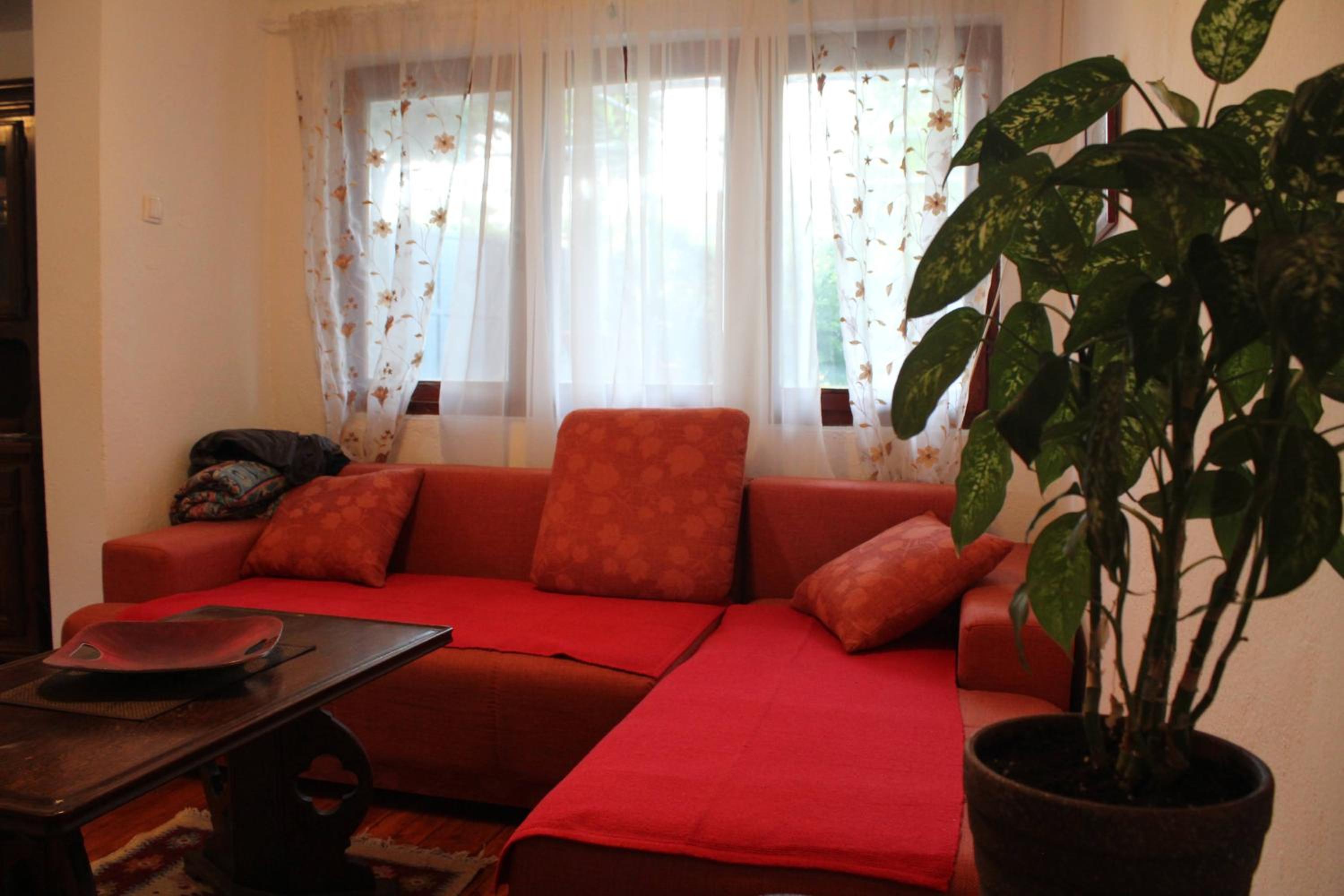 Casa Botanica