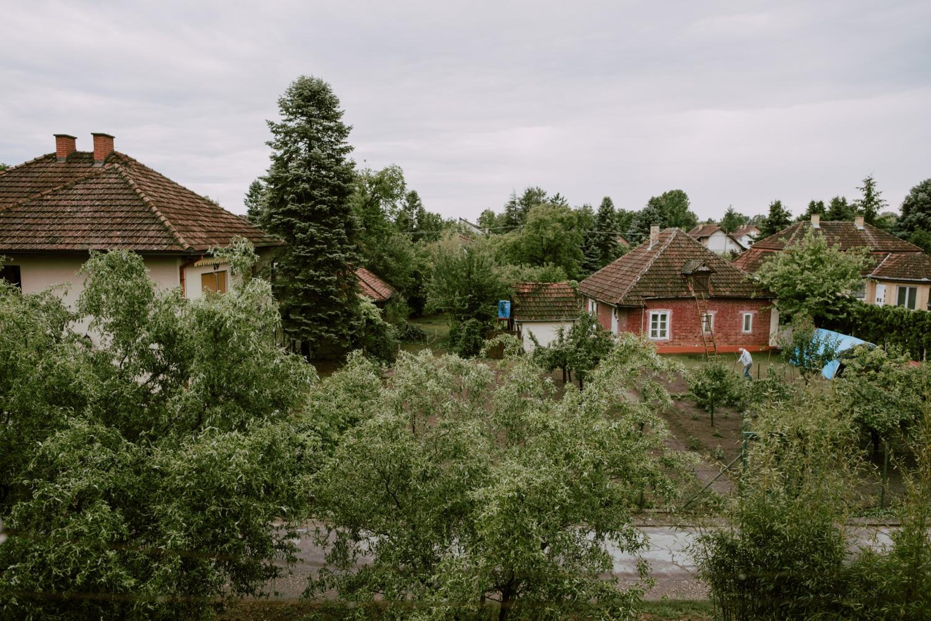 Photo 23