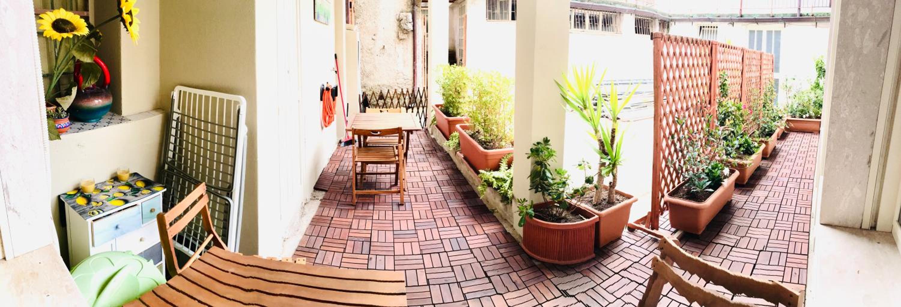 balance & terrace