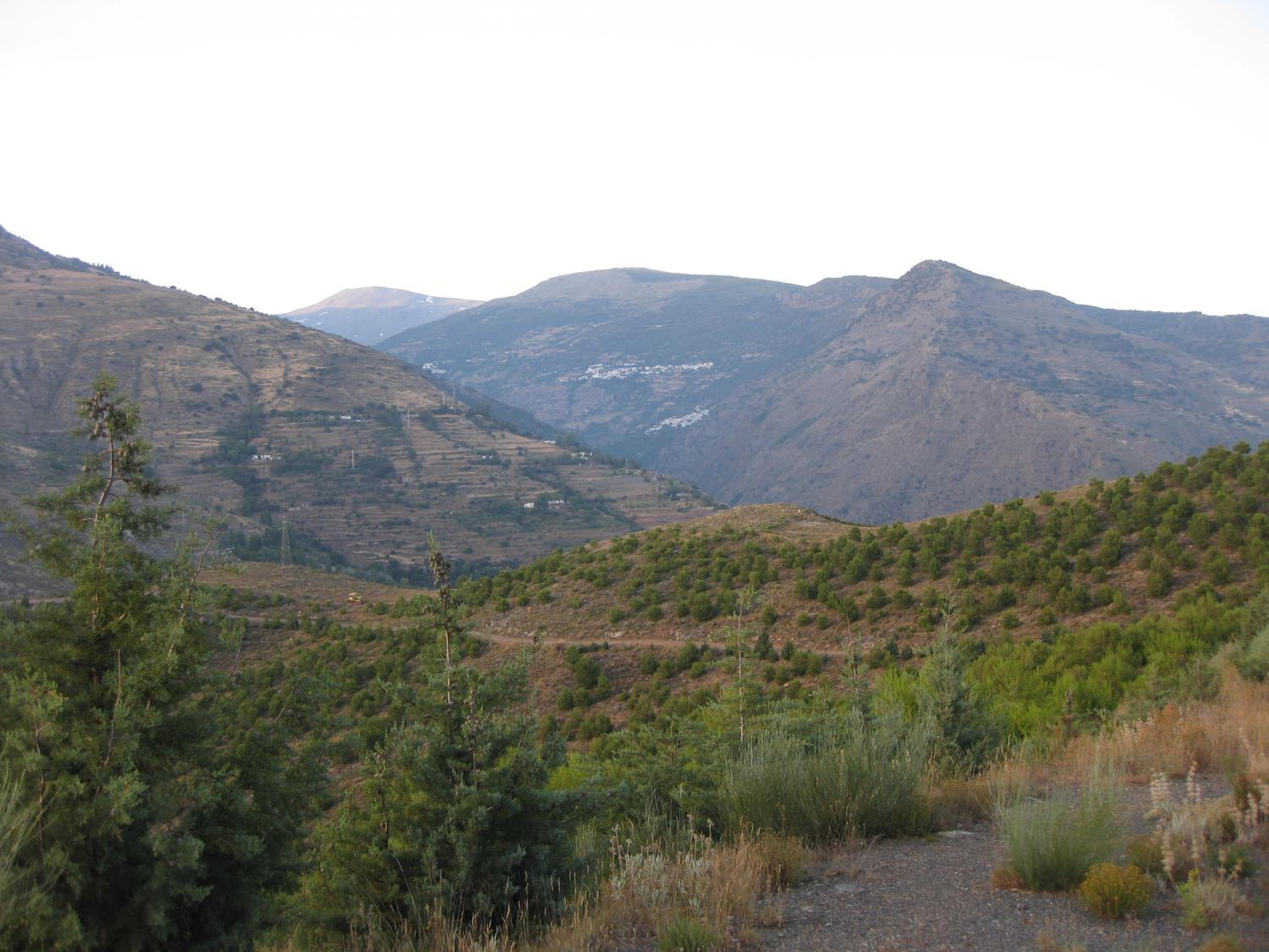 Photo 42