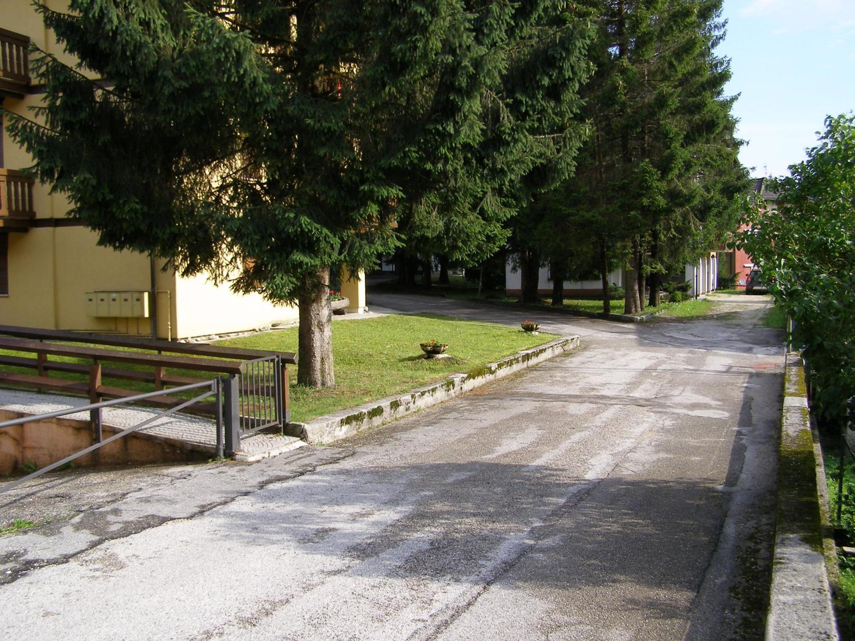 Chalet Orchidea photo 3