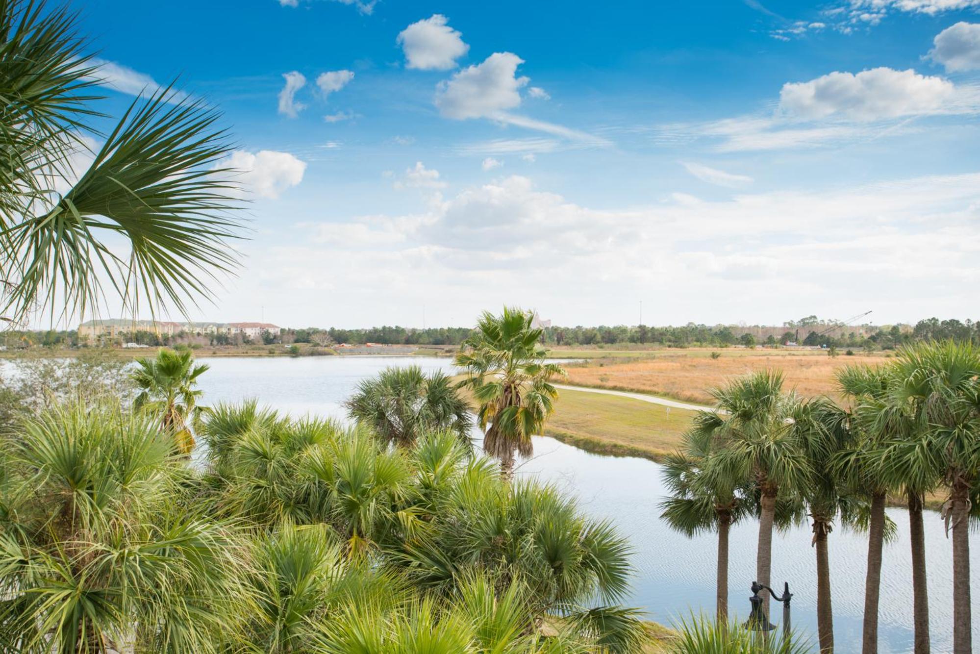 Beautiful Vista Cay Lake View Classic Near to all theme Parks & walk to the Convention Center