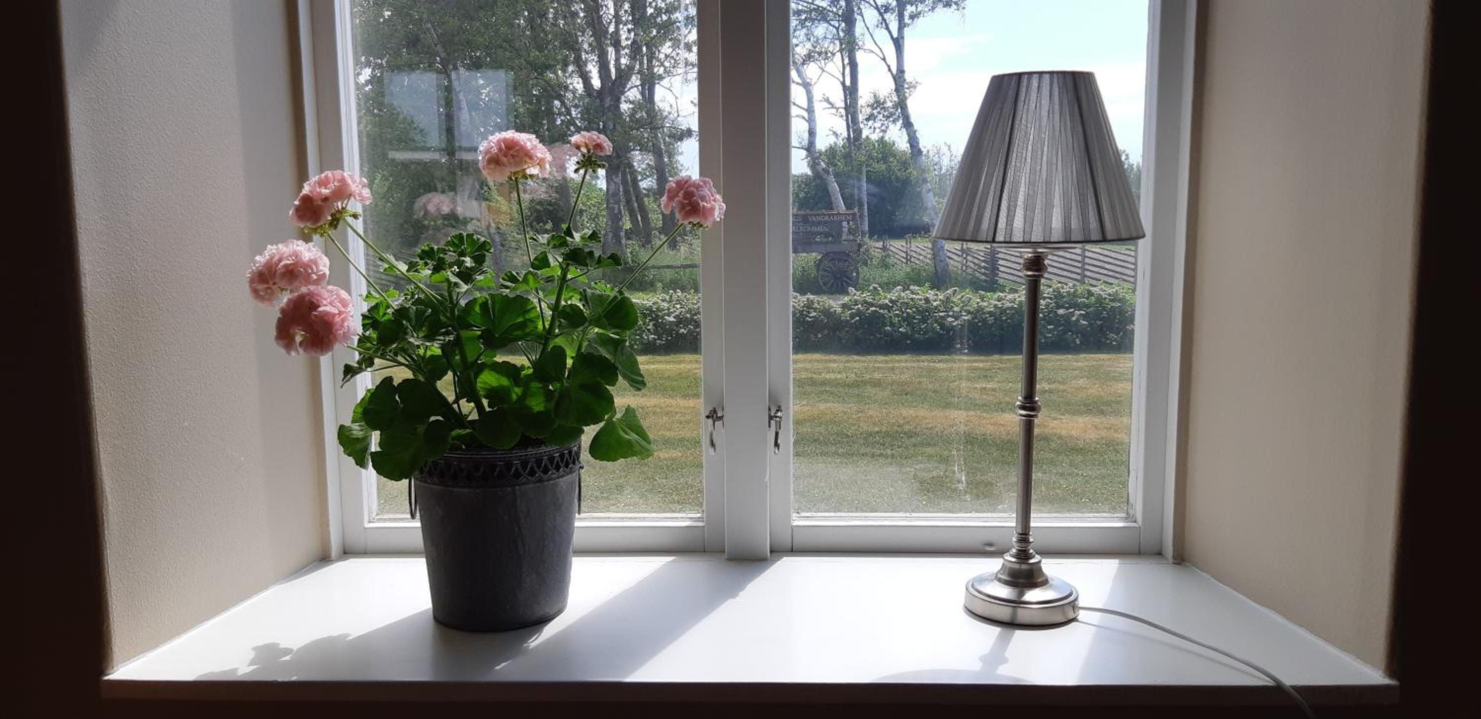 Björkängs Vandrarhem view 3