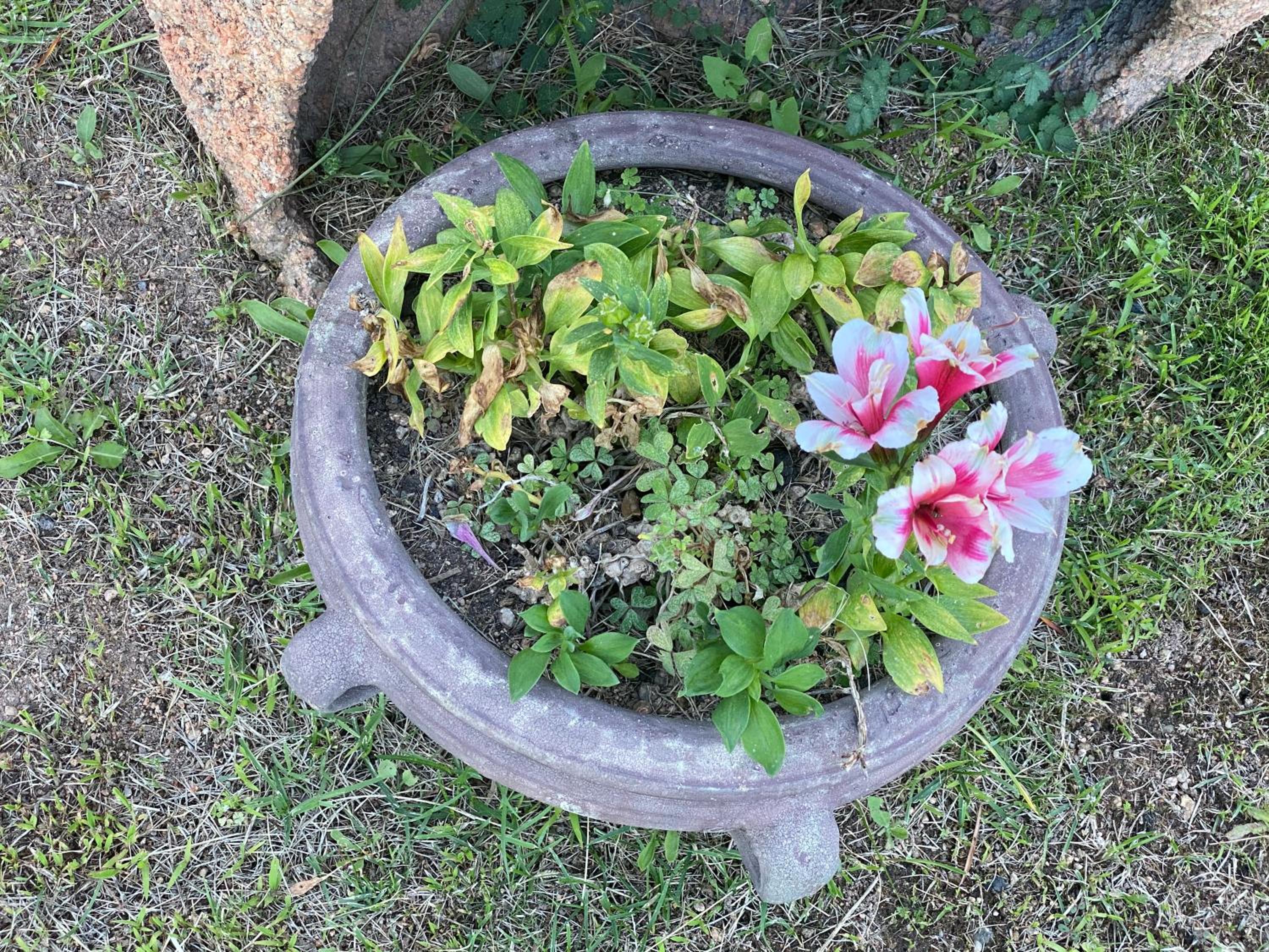 Photo 14