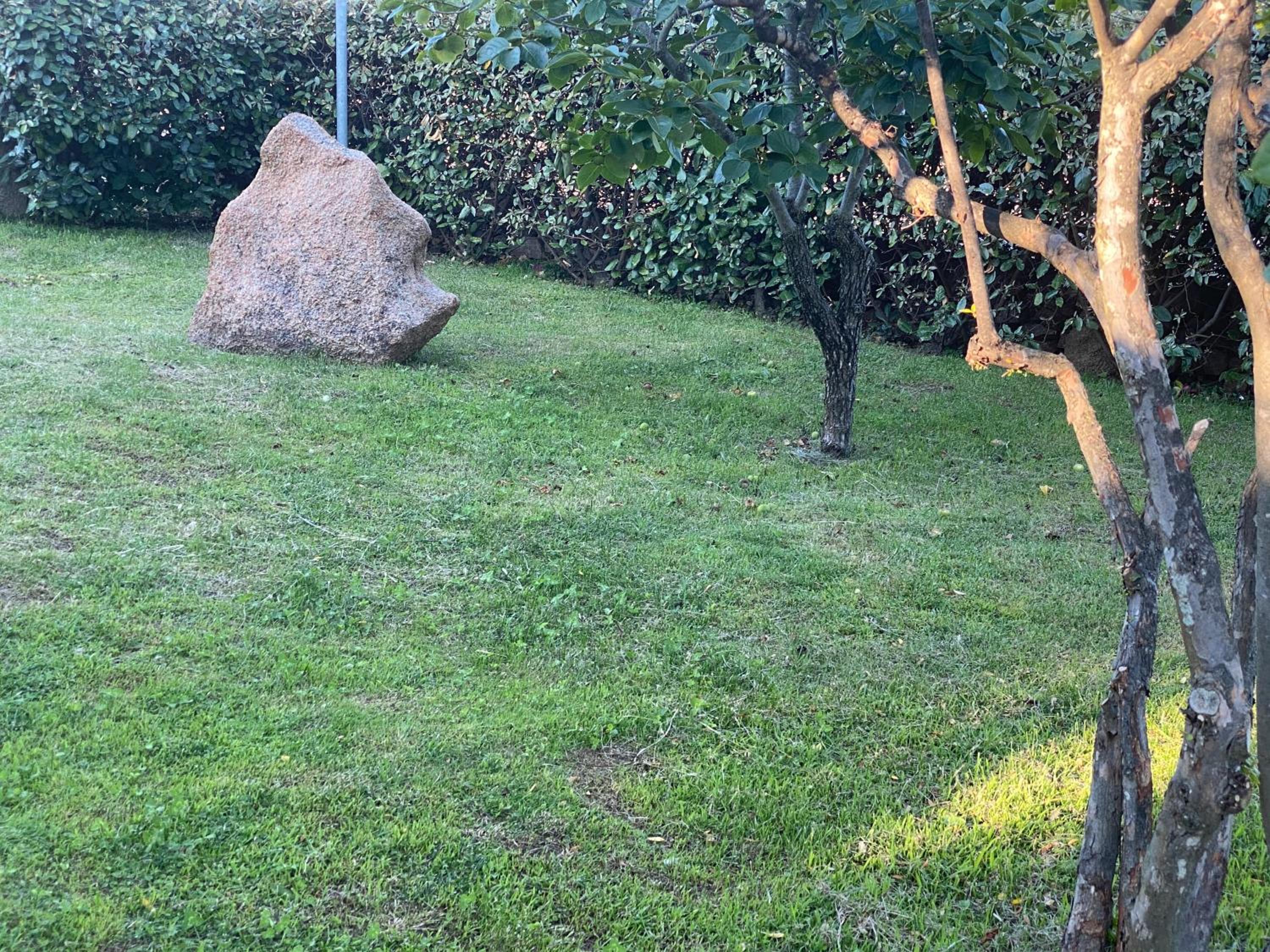 Bed and Breakfast Li Paduli Alvi view 4