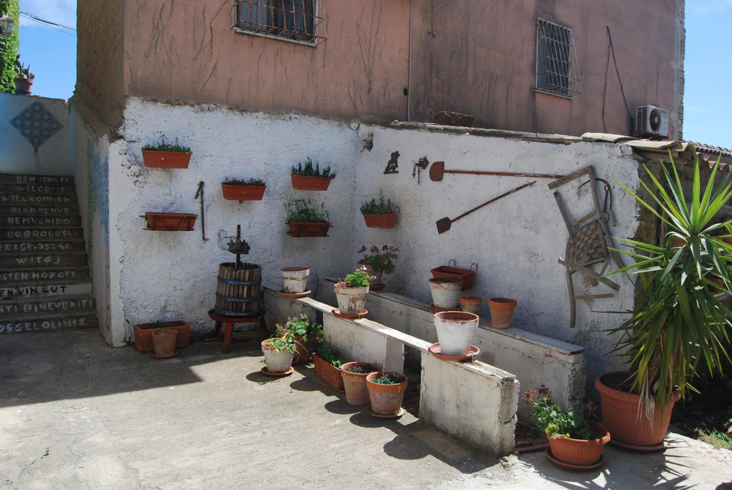 Photo 23