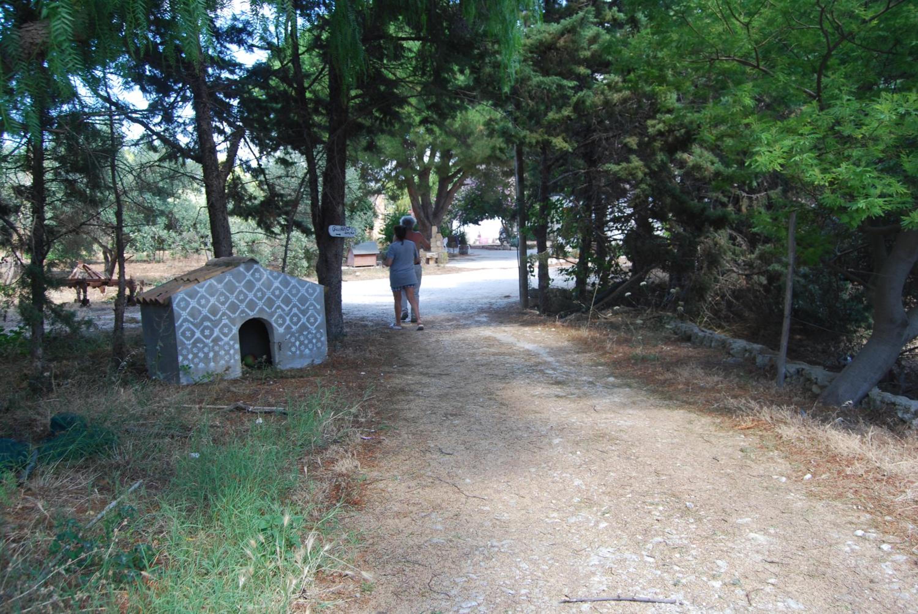 Photo 26