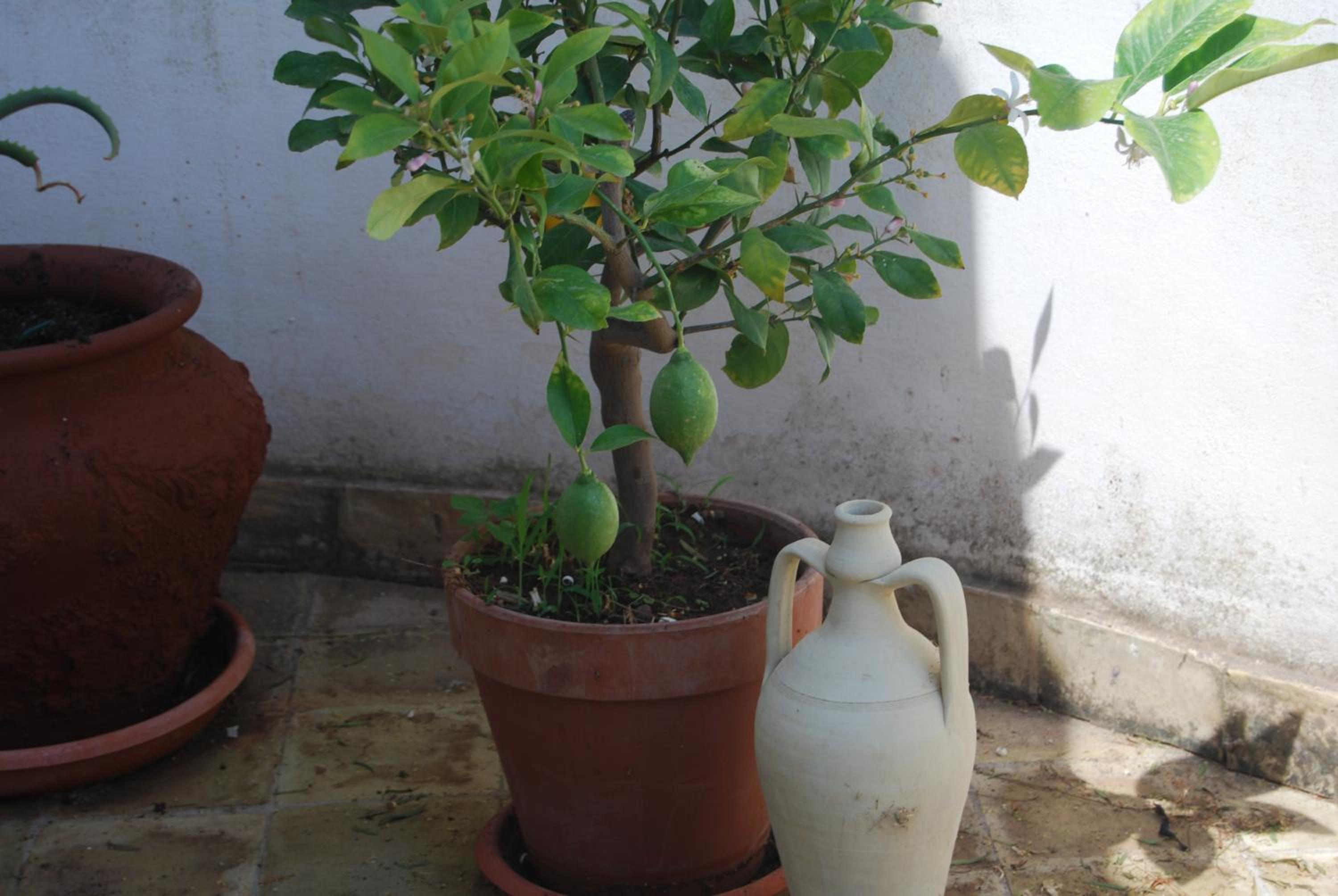 Photo 28