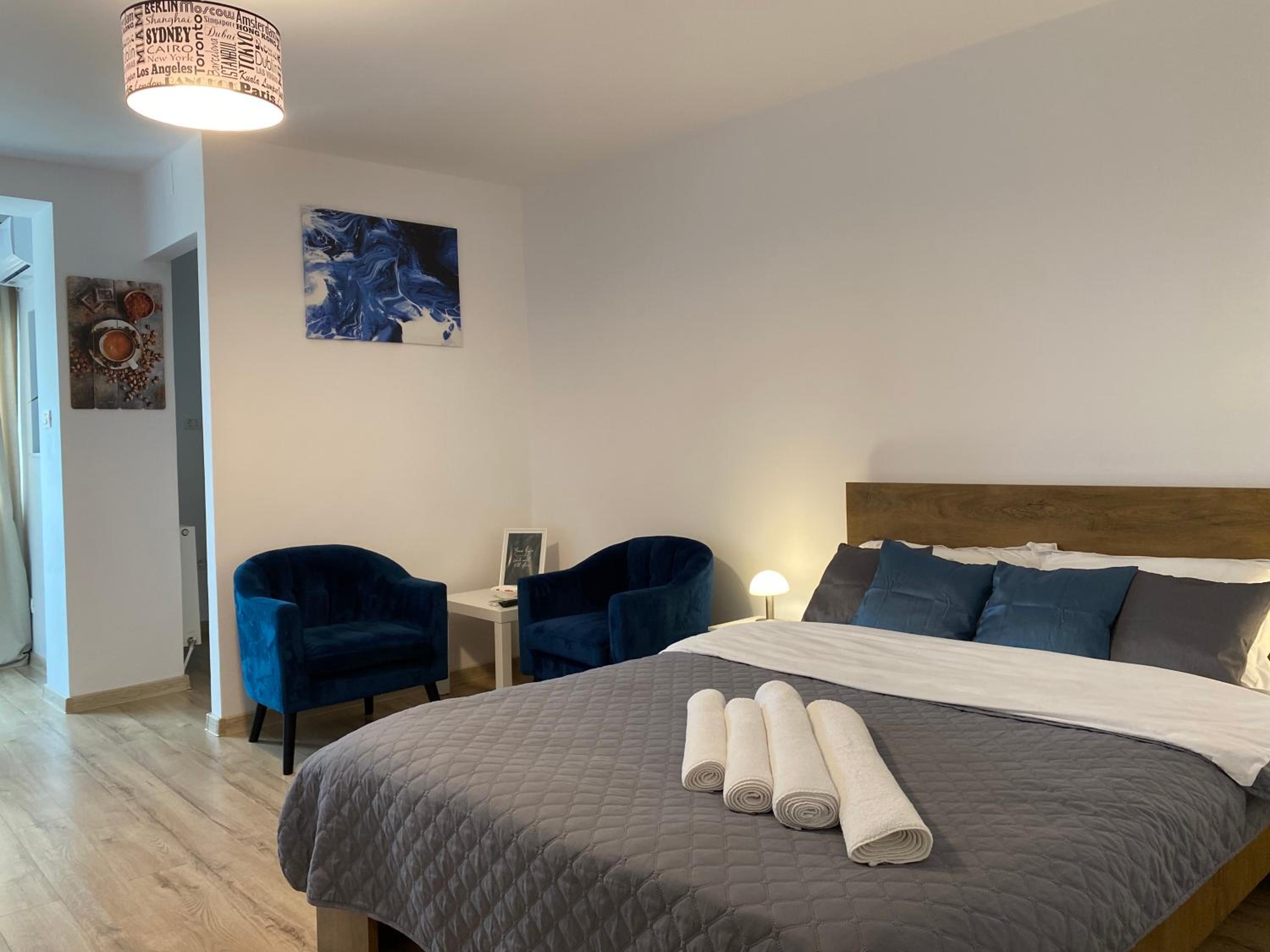 Take PRO Timisoara Apartment view 4