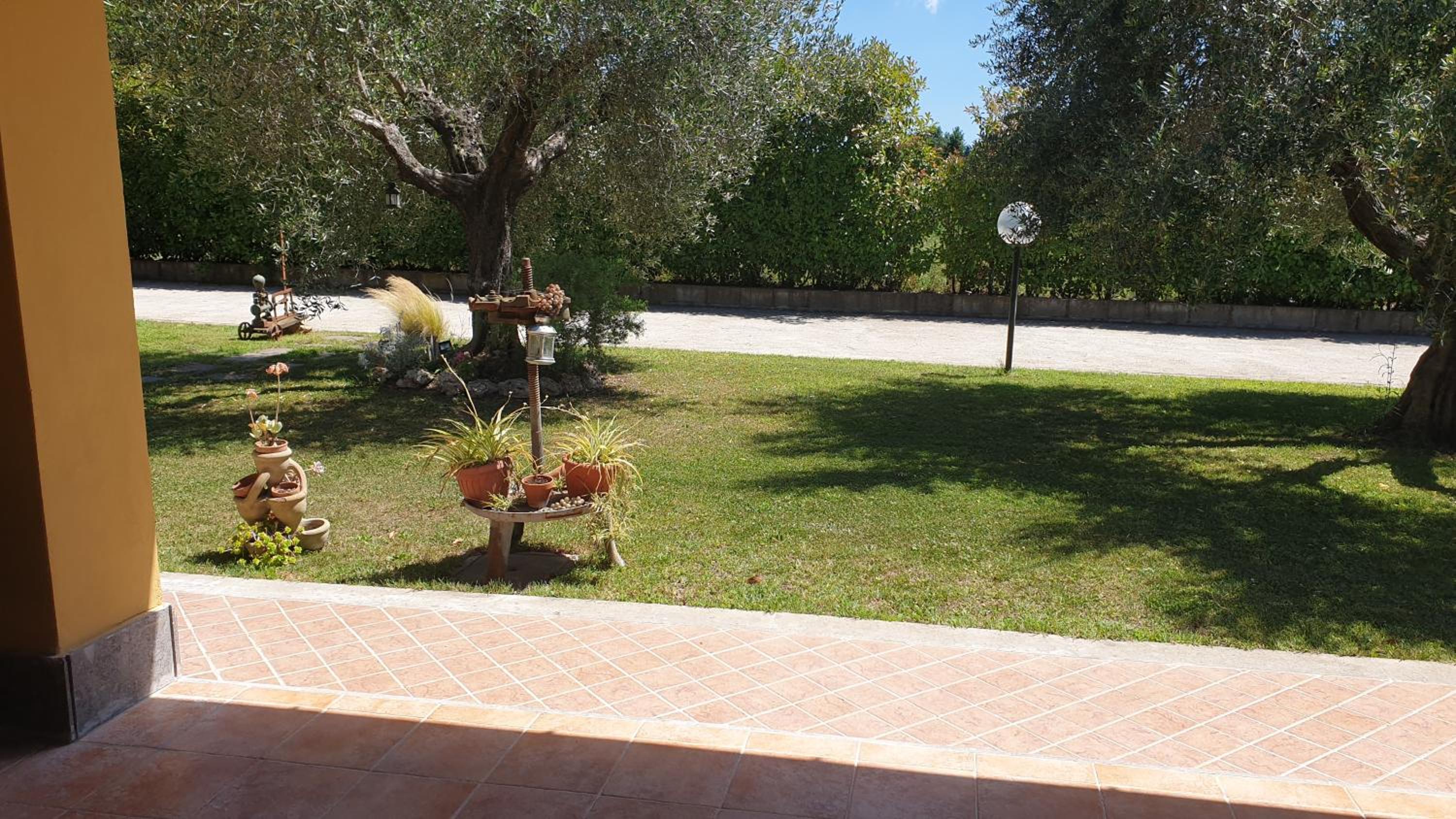 Photo 20